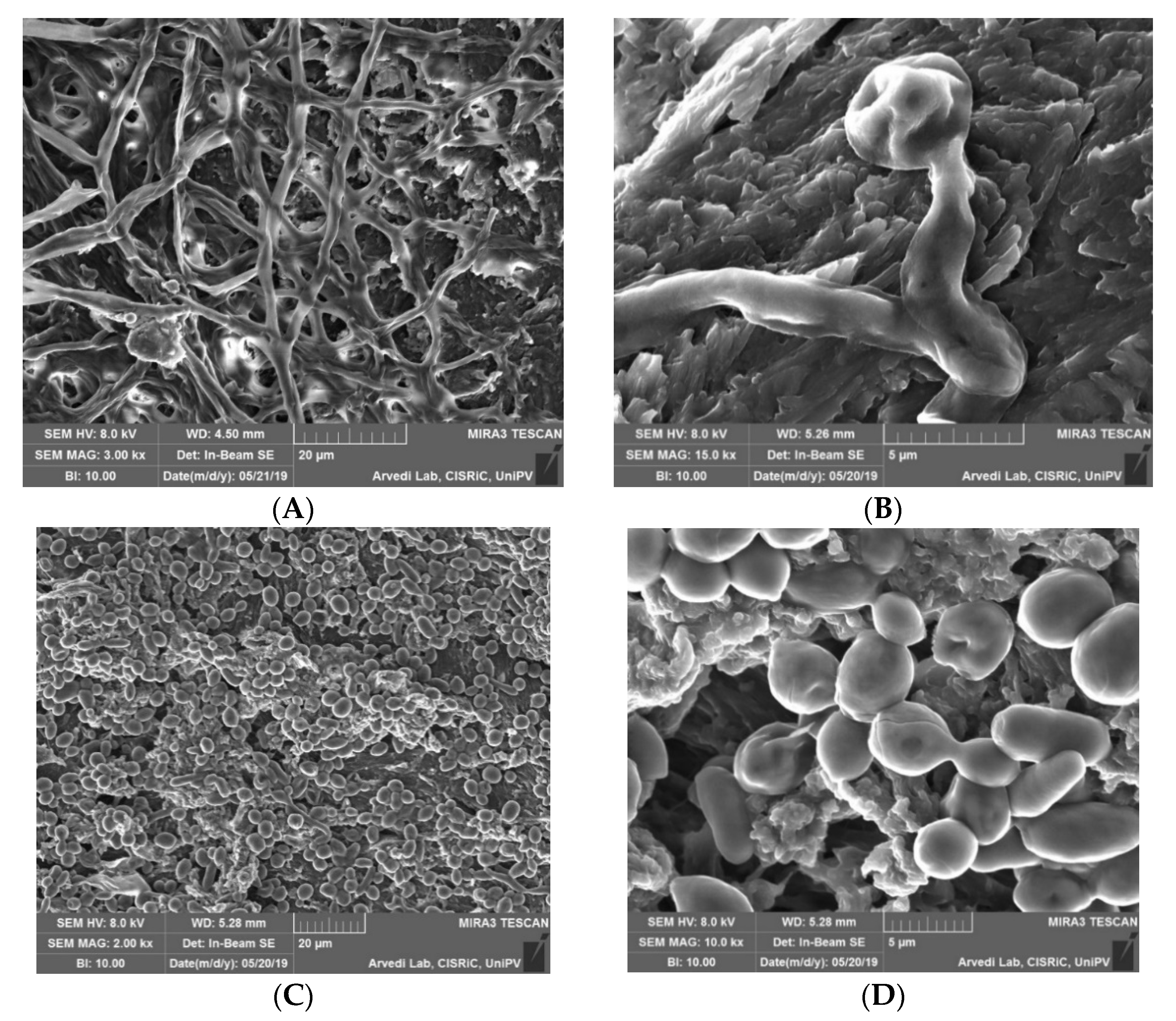 Applsci 11 01977 g004