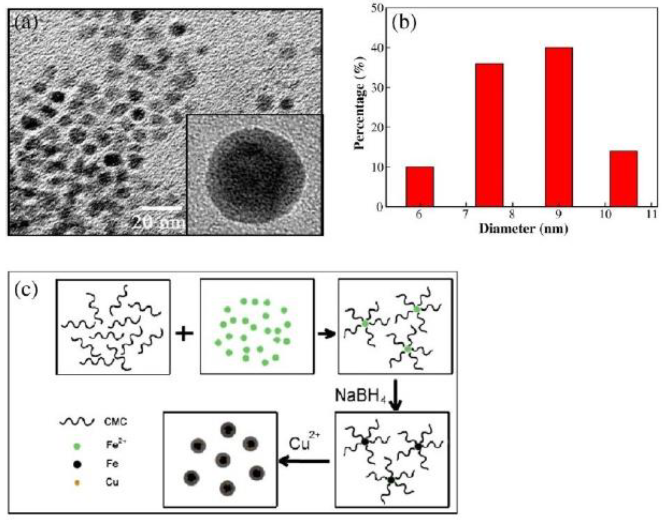 Applsci 11 01978 g008 Applsci 11 01978 g008