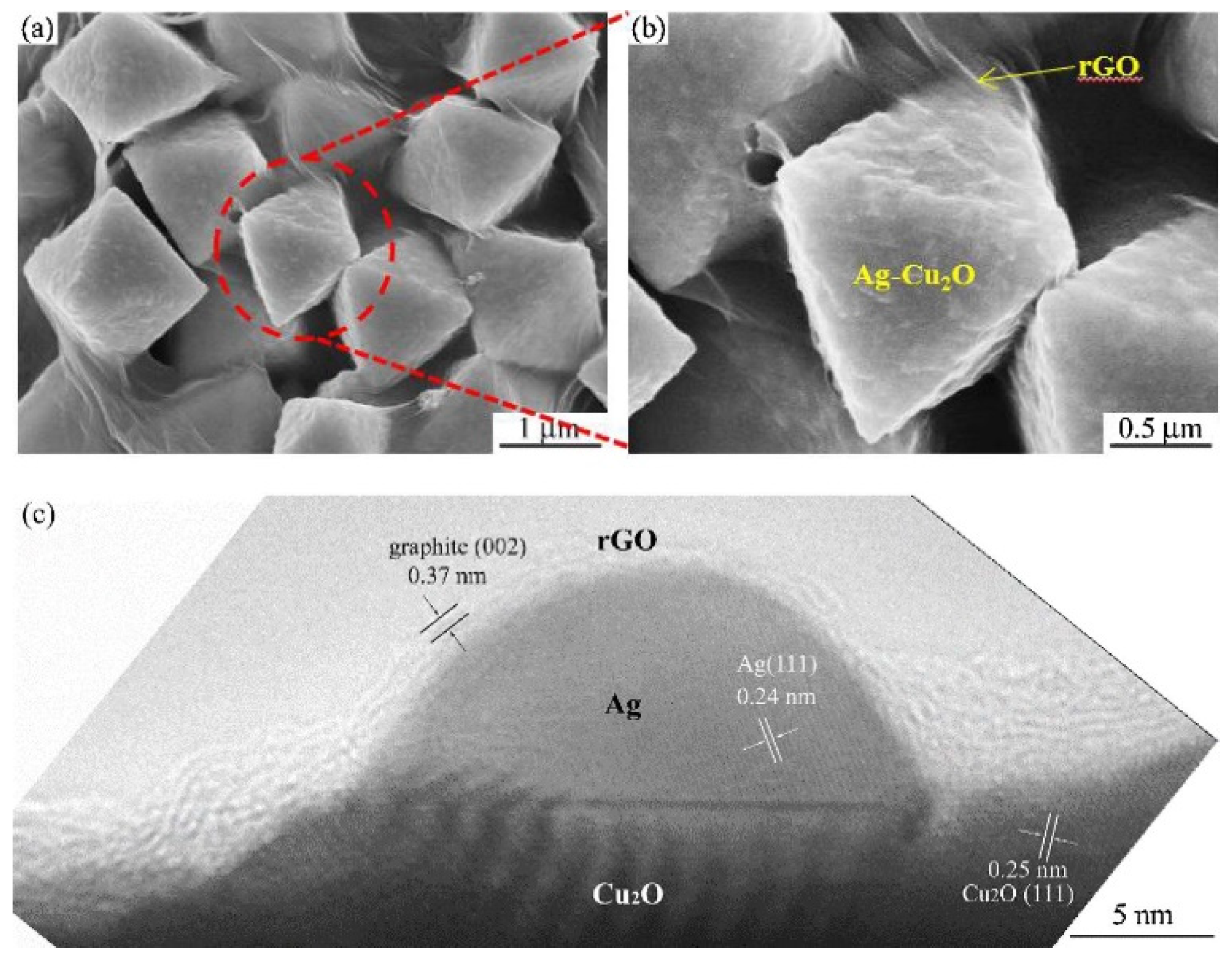 Applsci 11 01982 g005 Applsci 11 01982 g005