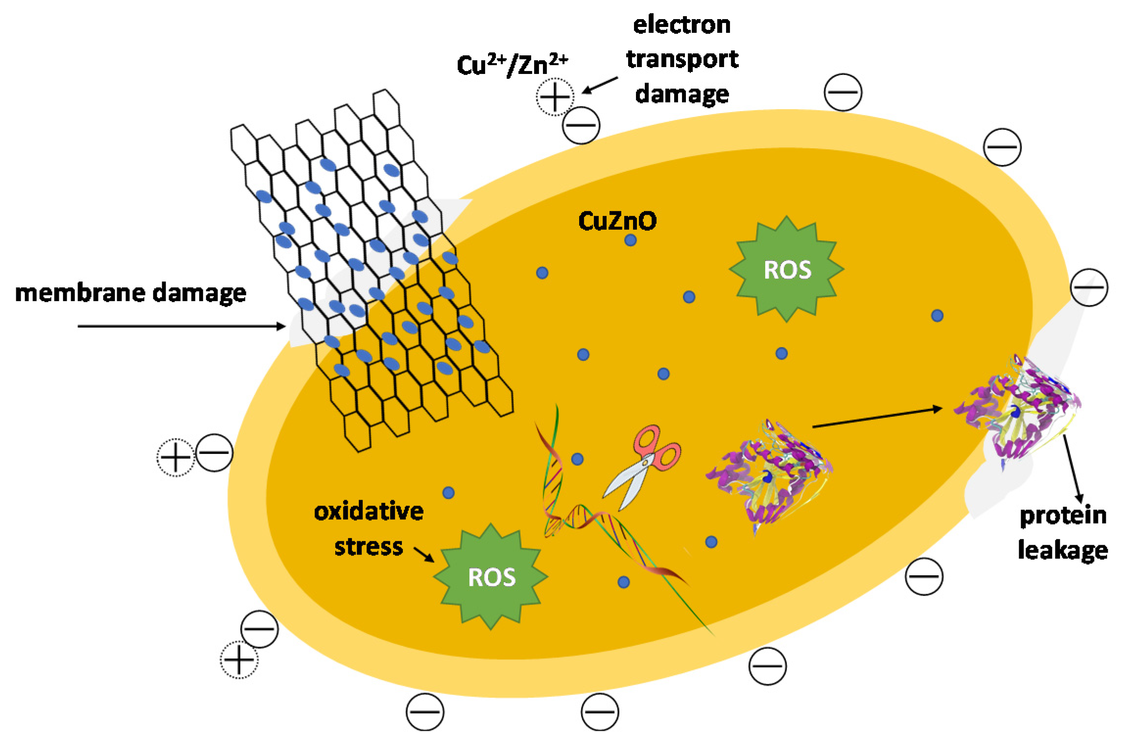 Applsci 11 01982 g014 Applsci 11 01982 g014