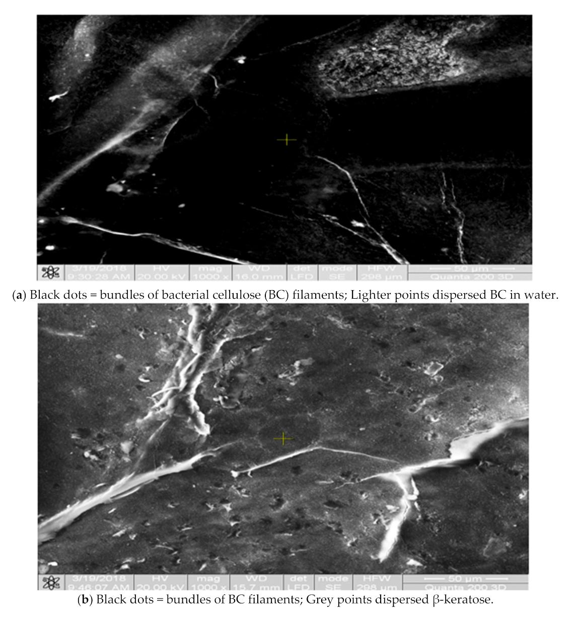 Applsci 11 01995 g005a Applsci 11 01995 g005a
