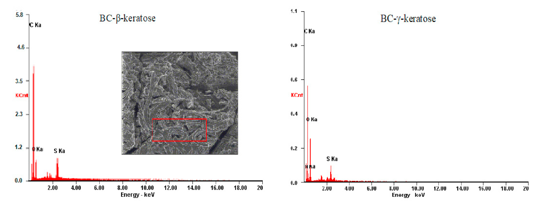 Applsci 11 01995 g006 Applsci 11 01995 g006