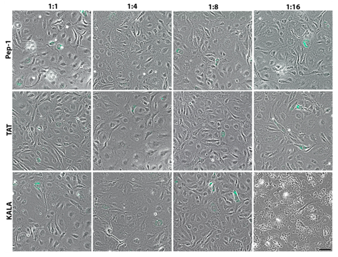 Applsci 11 01997 g002 Applsci 11 01997 g002