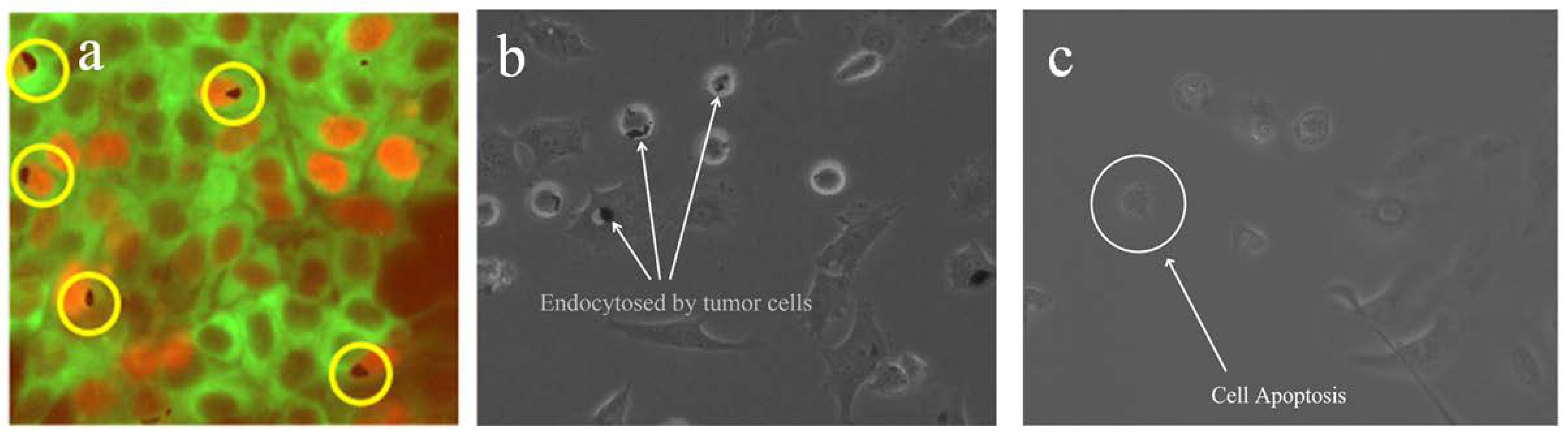 Applsci 11 02003 g008 Applsci 11 02003 g008