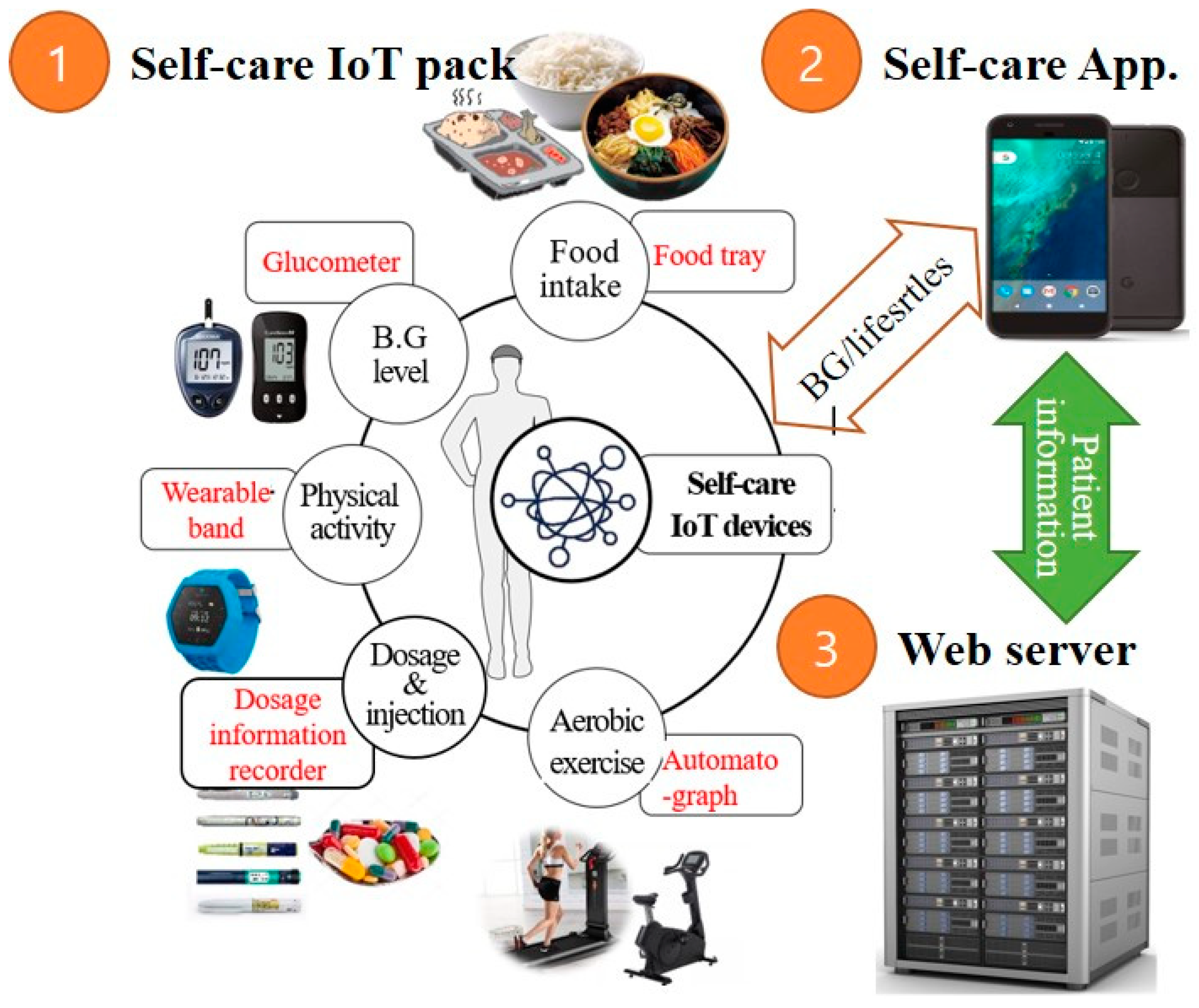 Applsci 11 02006 g001