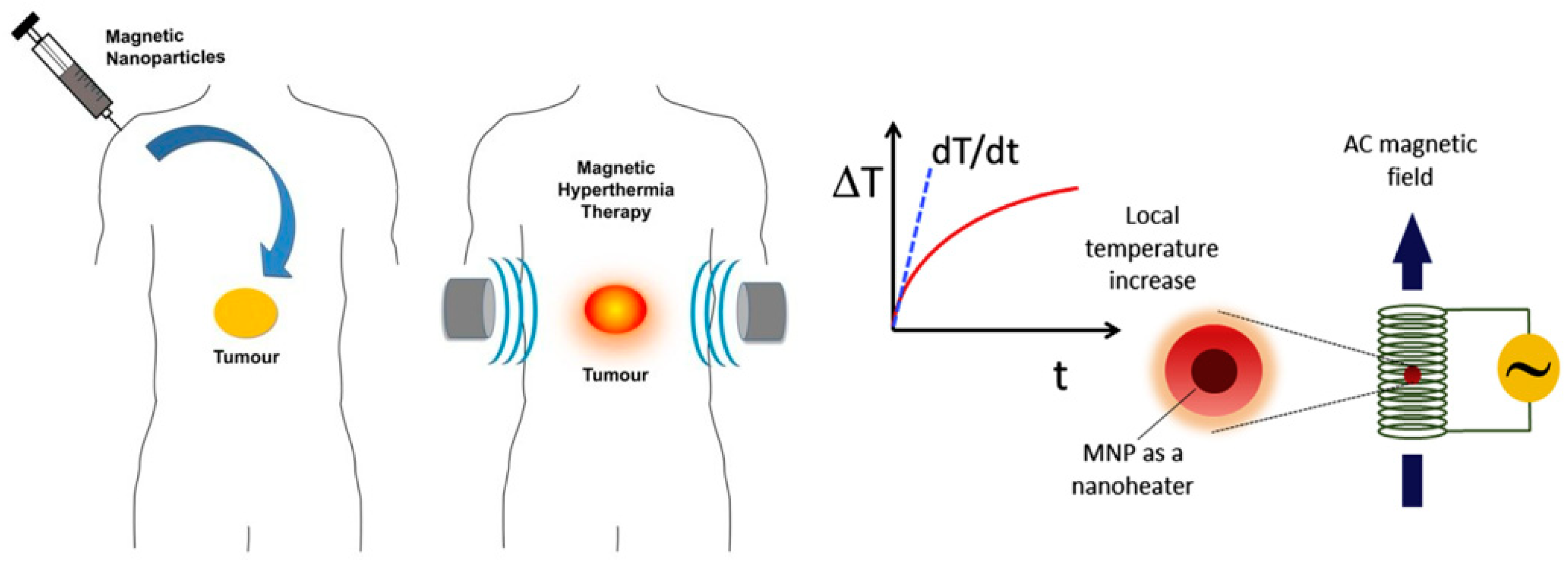 Applied Sciences Free FullText RETRACTED BiomaterialModified