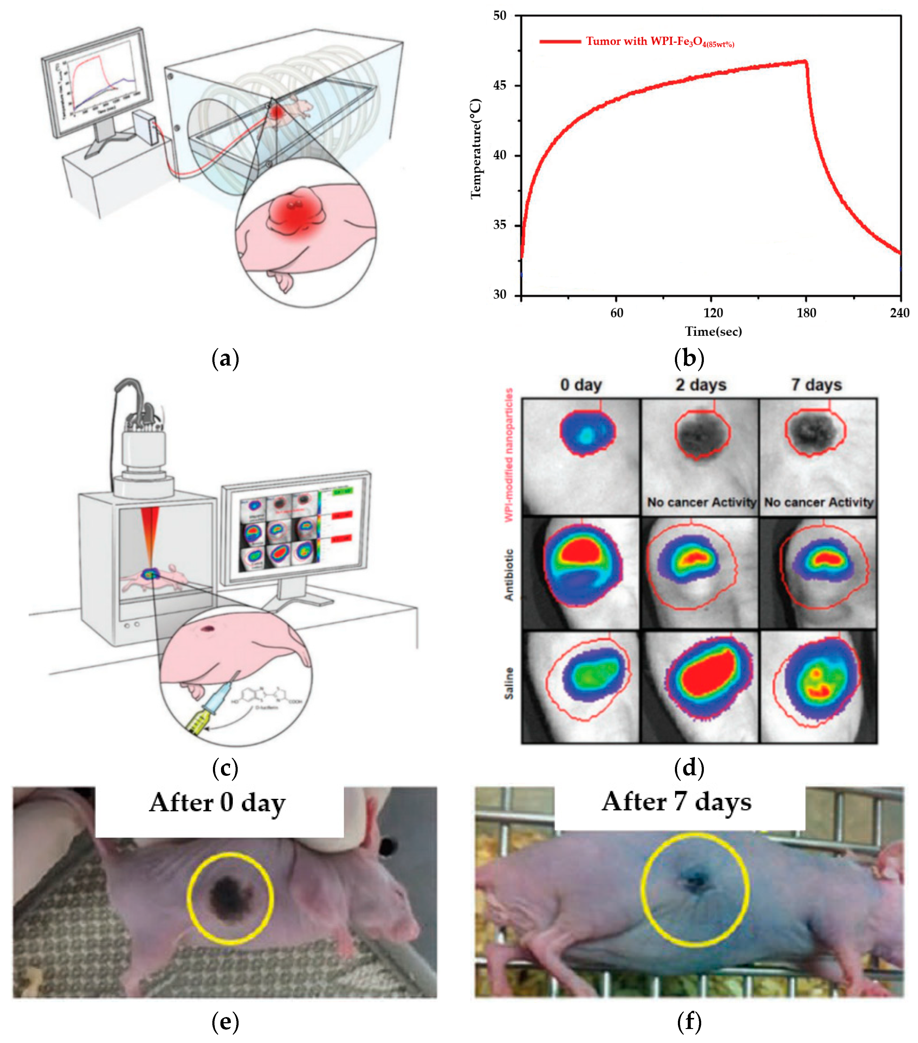Applsci 11 02017 g007