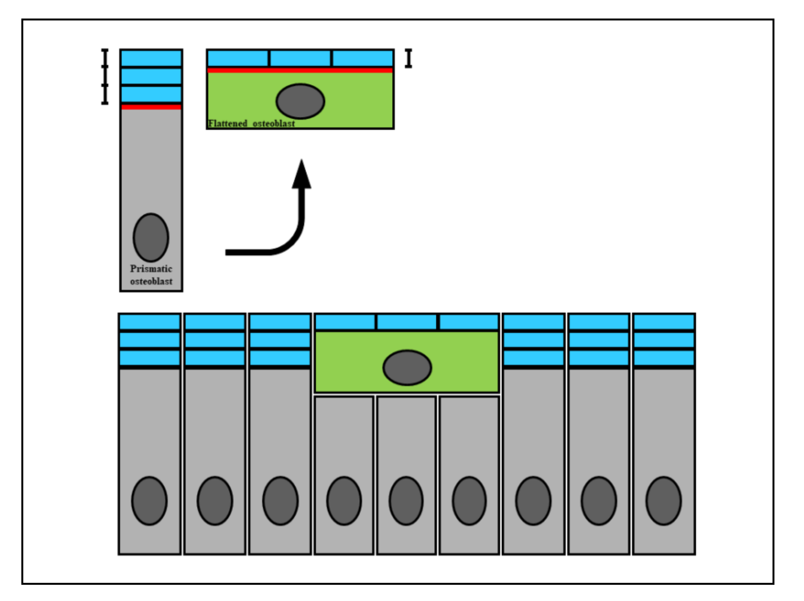 Applsci 11 02025 g001