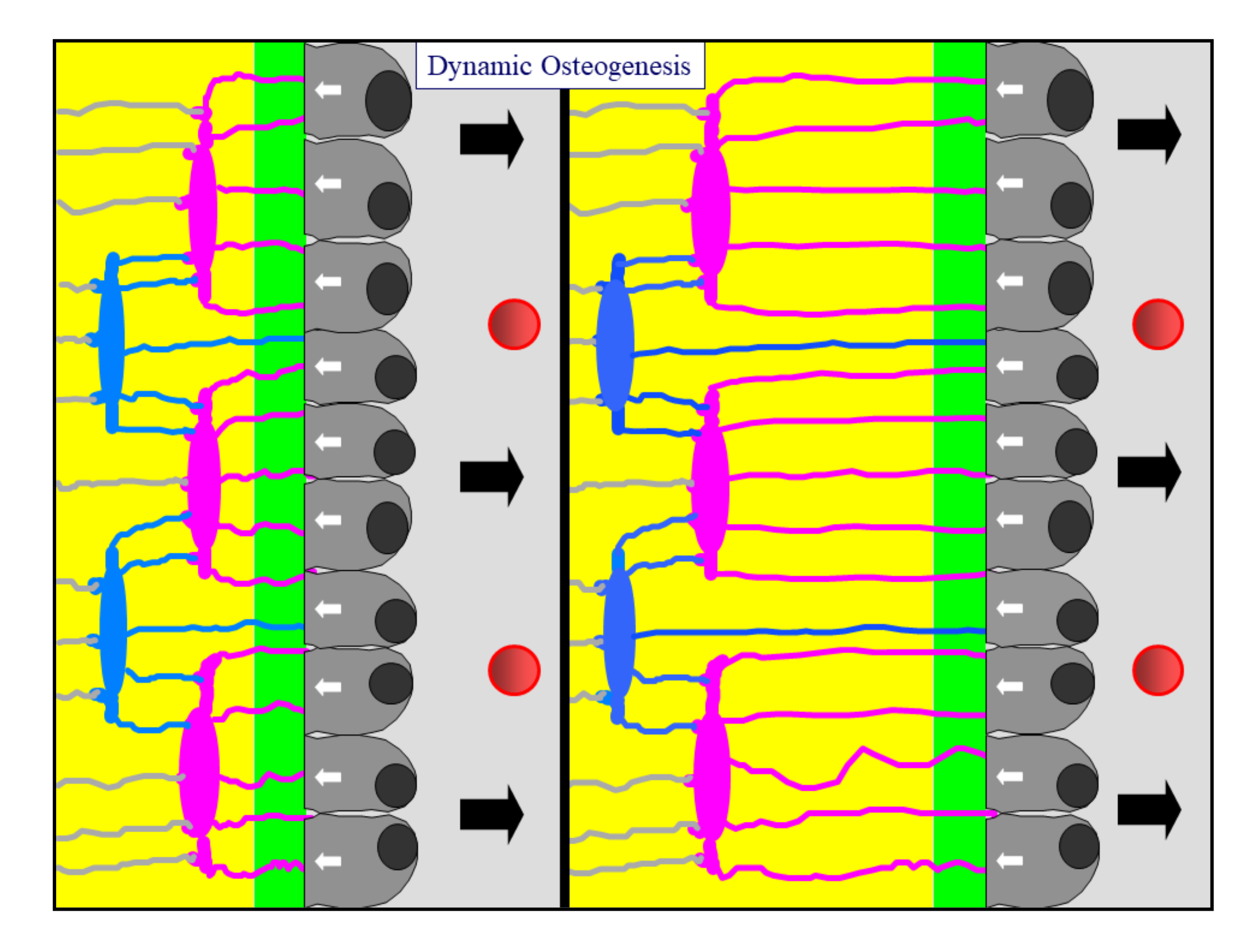 Applsci 11 02025 g002