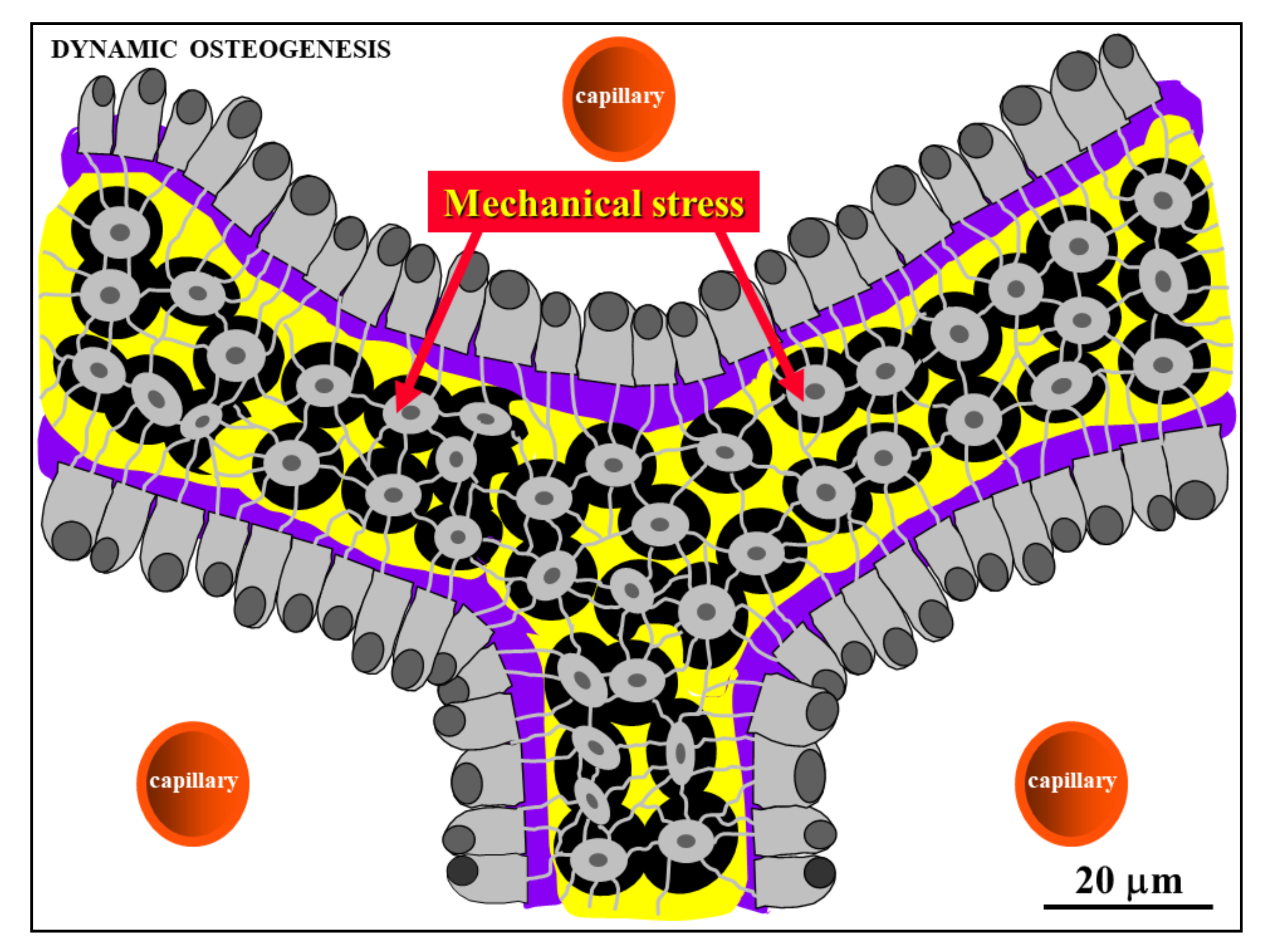 Applsci 11 02025 g007