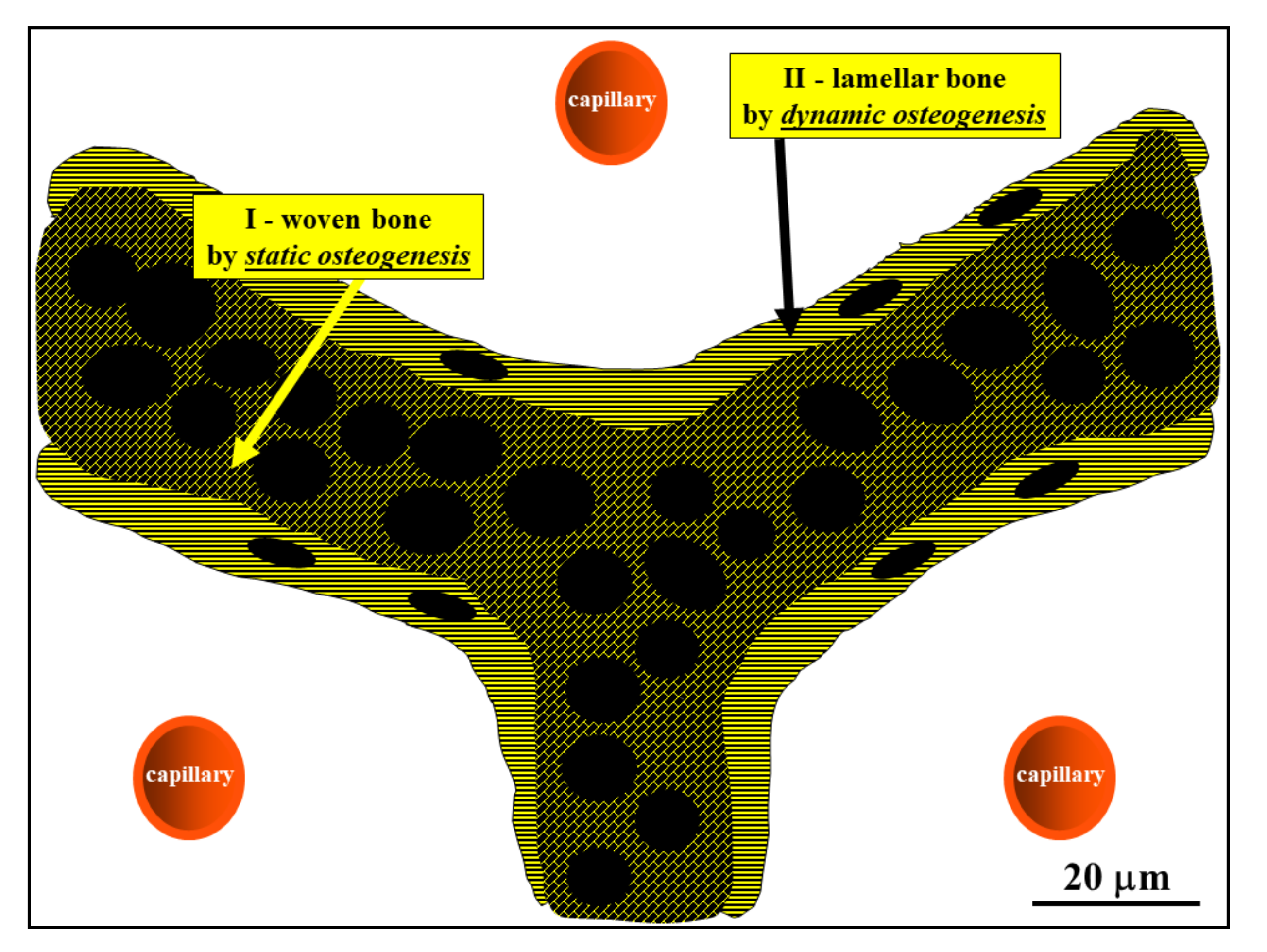 Applsci 11 02025 g008