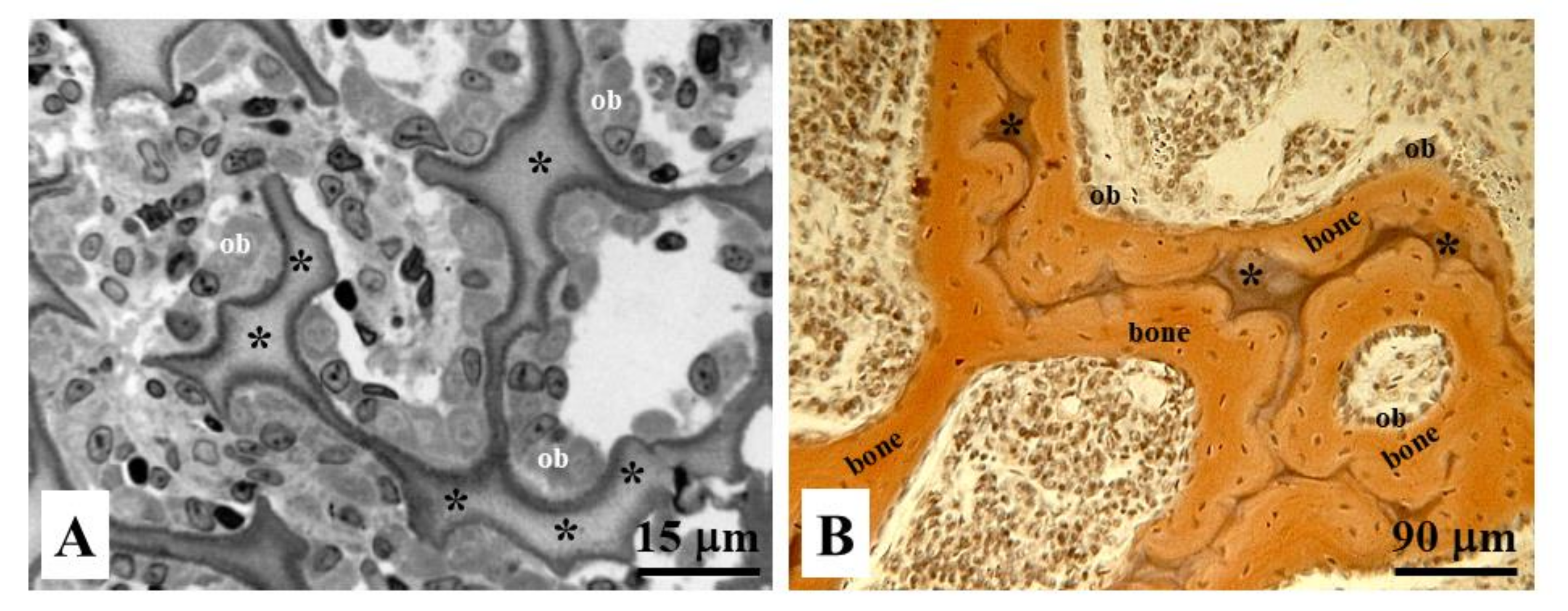 Applsci 11 02025 g011