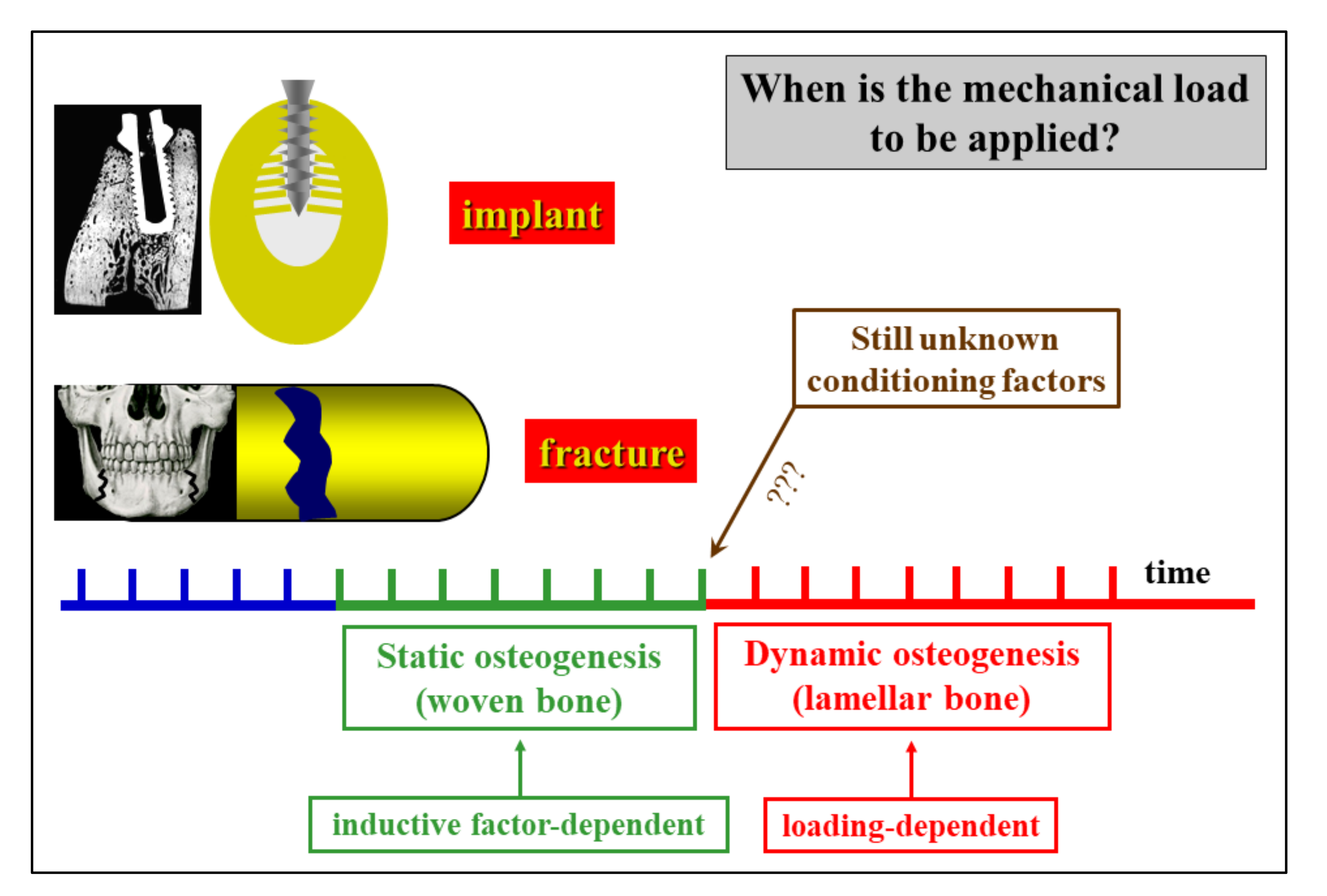 Applsci 11 02025 g013