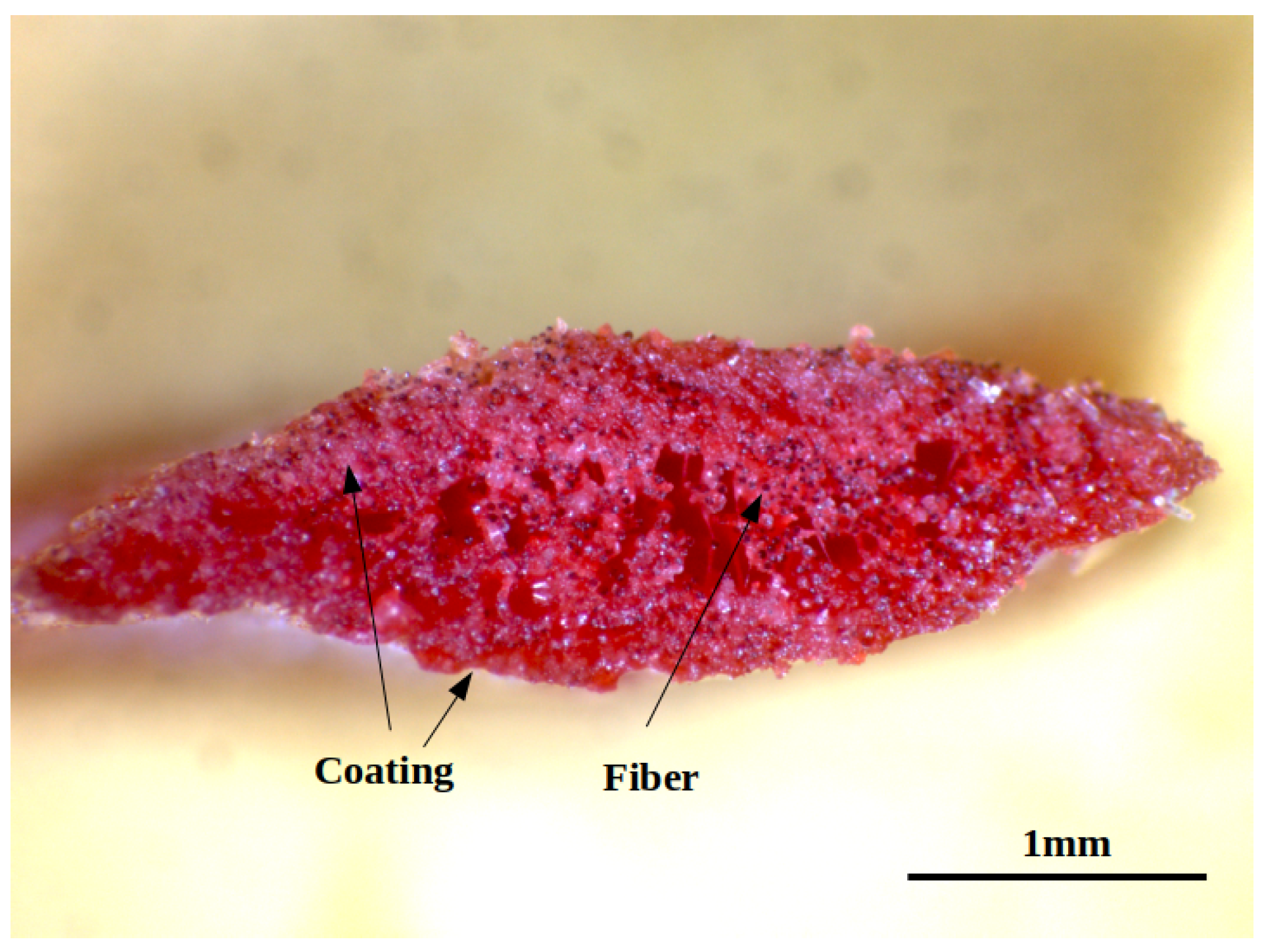 Applsci 11 02028 g003 Applsci 11 02028 g003