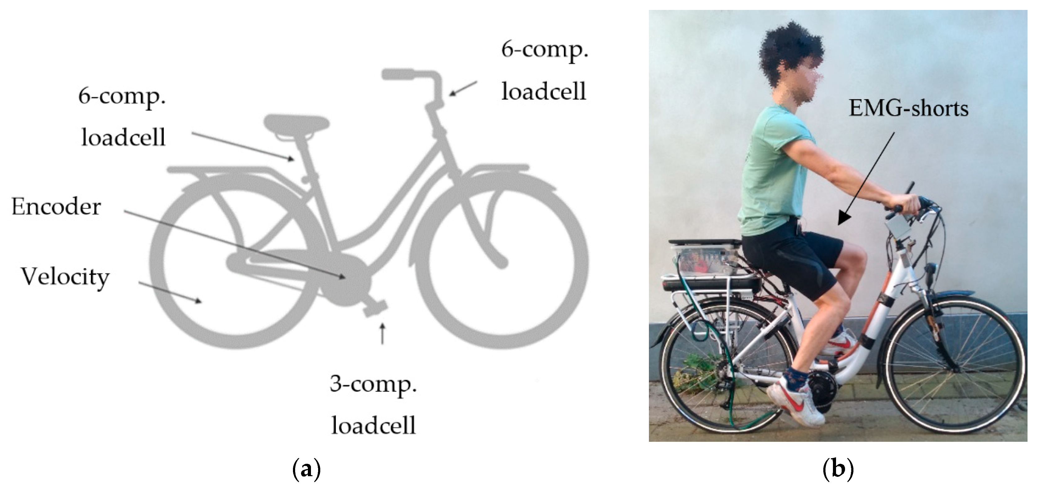 Influence of Electrically Powered Pedal Assistance on User Induced Cycling Loads and Muscle Activity during Cycling