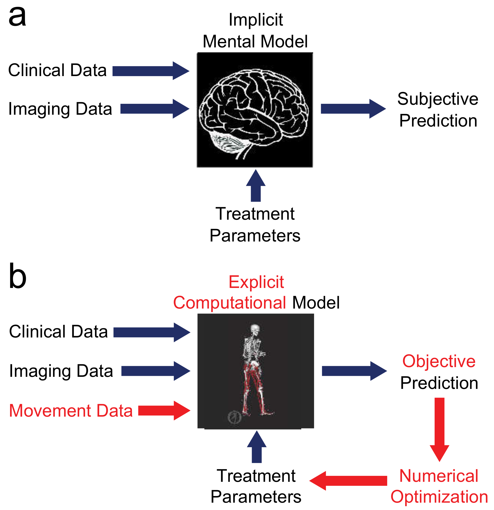 Applied Sciences | Free Full-Text | A Conceptual Blueprint for Making Neuromusculoskeletal Models Clinically Useful