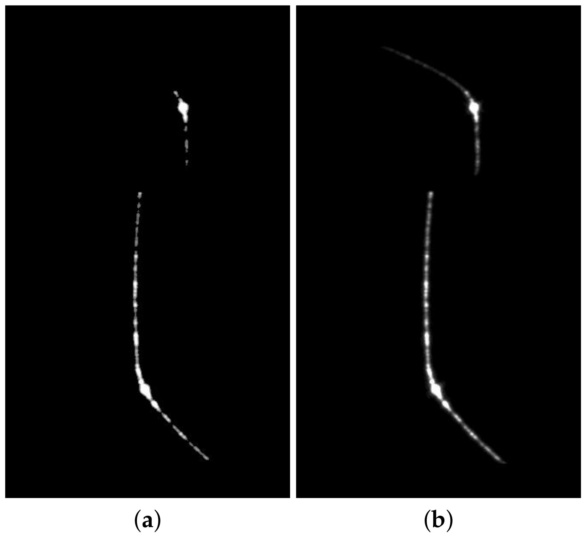Applsci 11 02038 g003