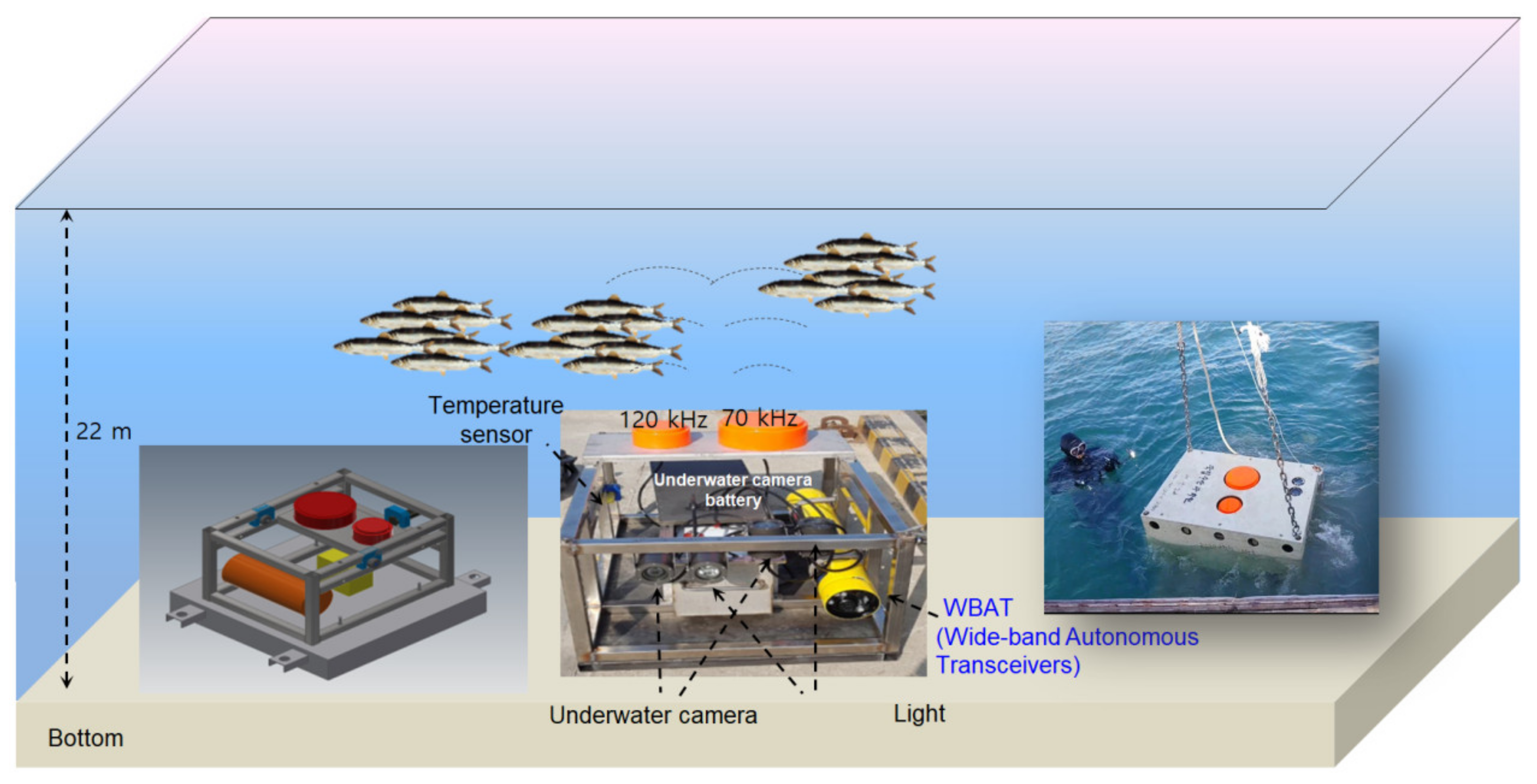Applsci 11 02058 g002