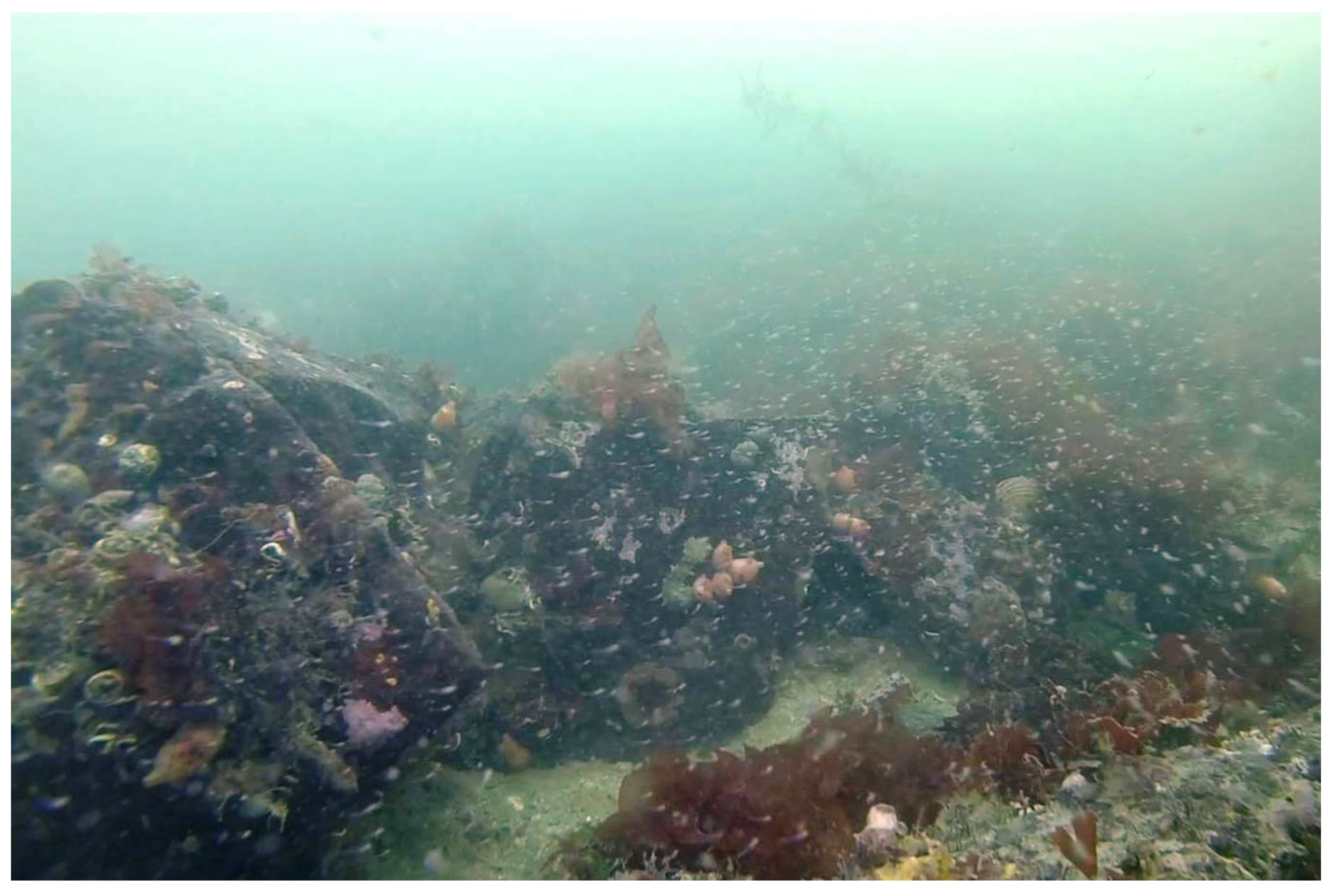 Applsci 11 02058 g007