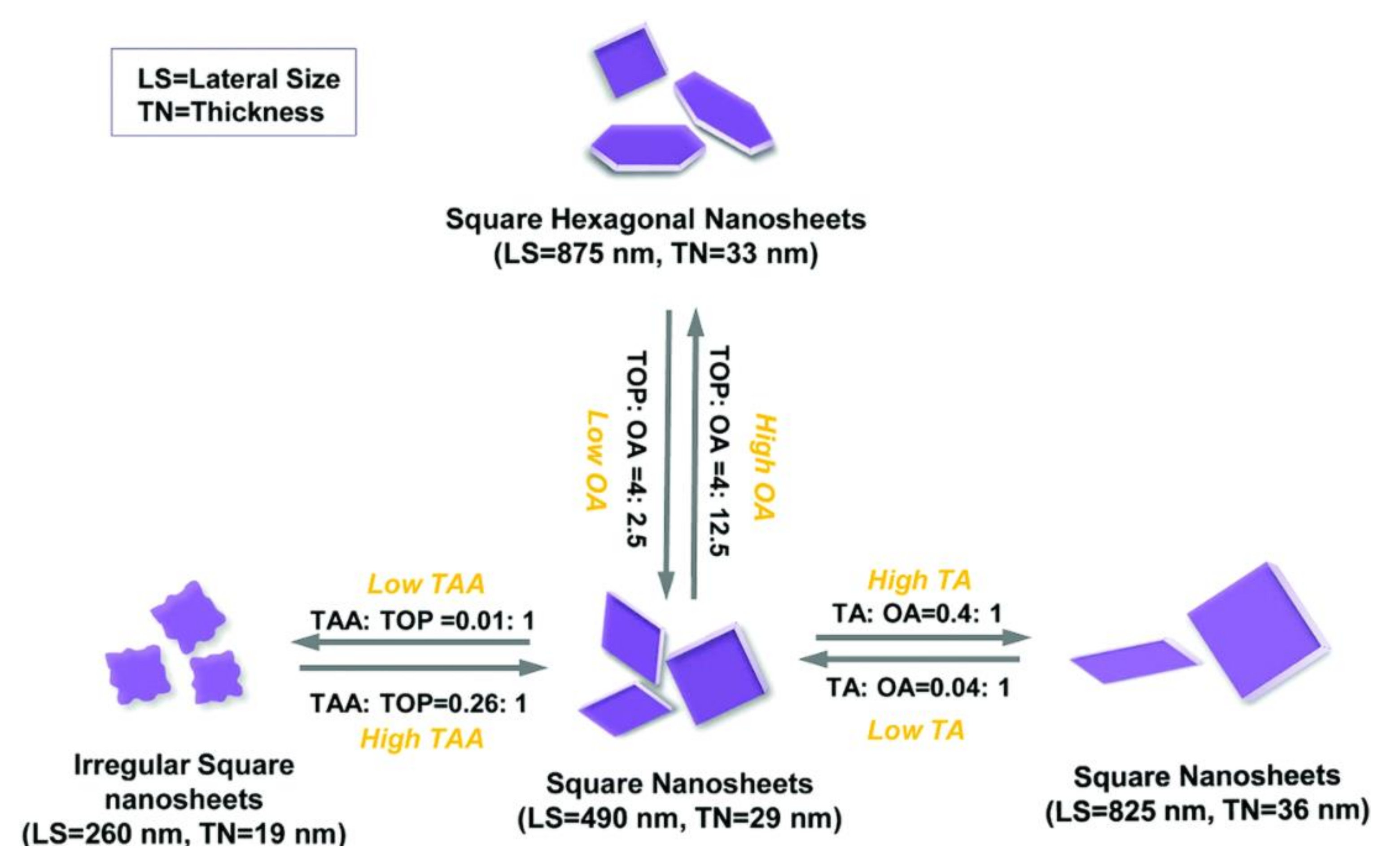 Applsci 11 02062 g012 Applsci 11 02062 g012