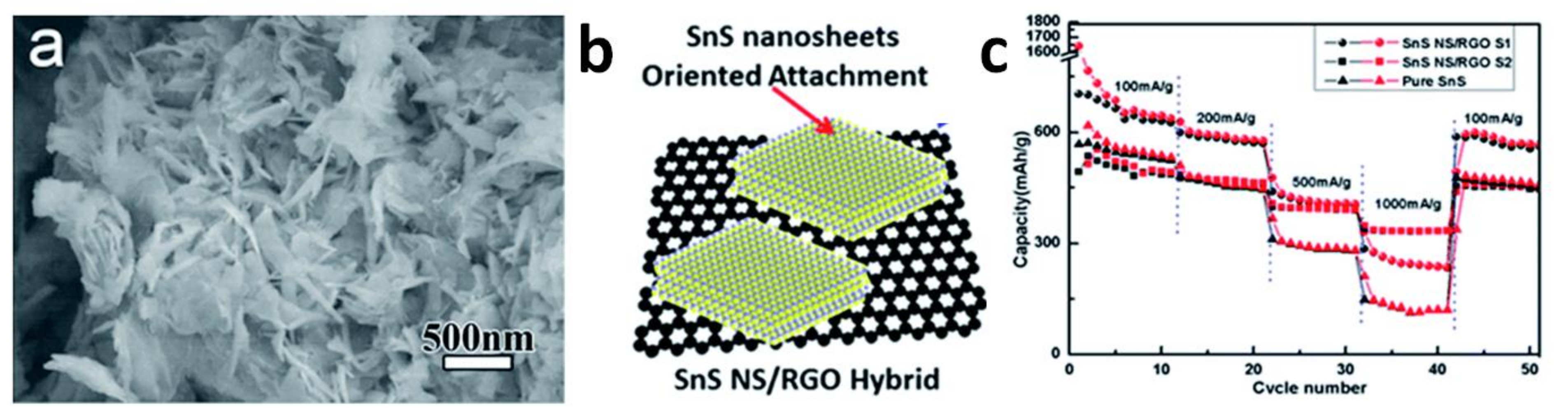 Applsci 11 02062 g015 Applsci 11 02062 g015