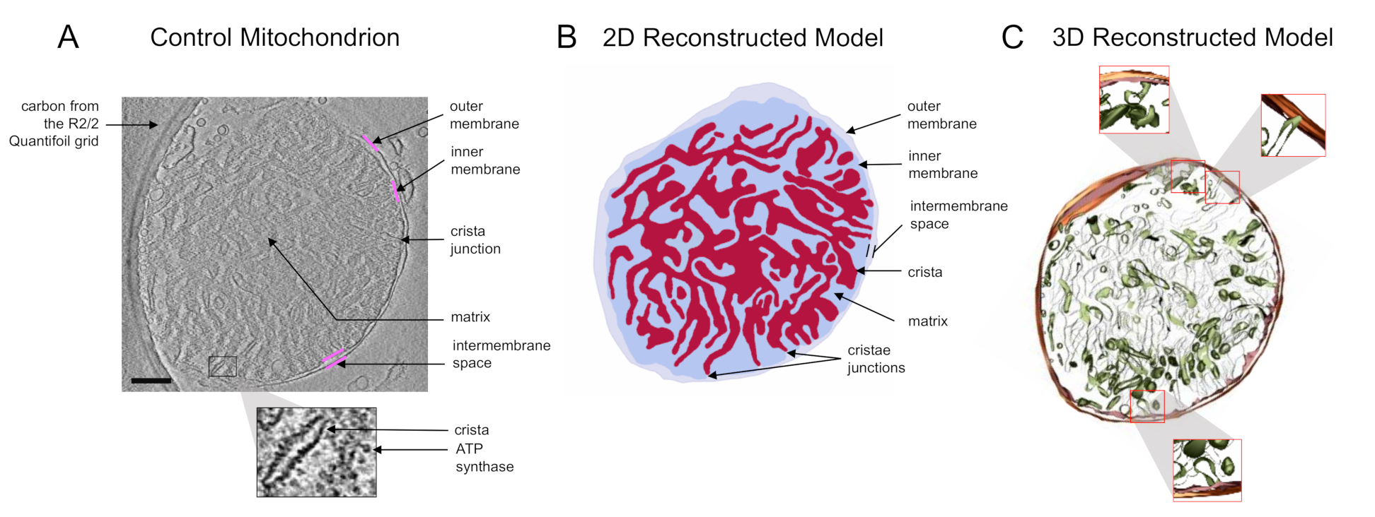 Applsci 11 02071 g002 Applsci 11 02071 g002