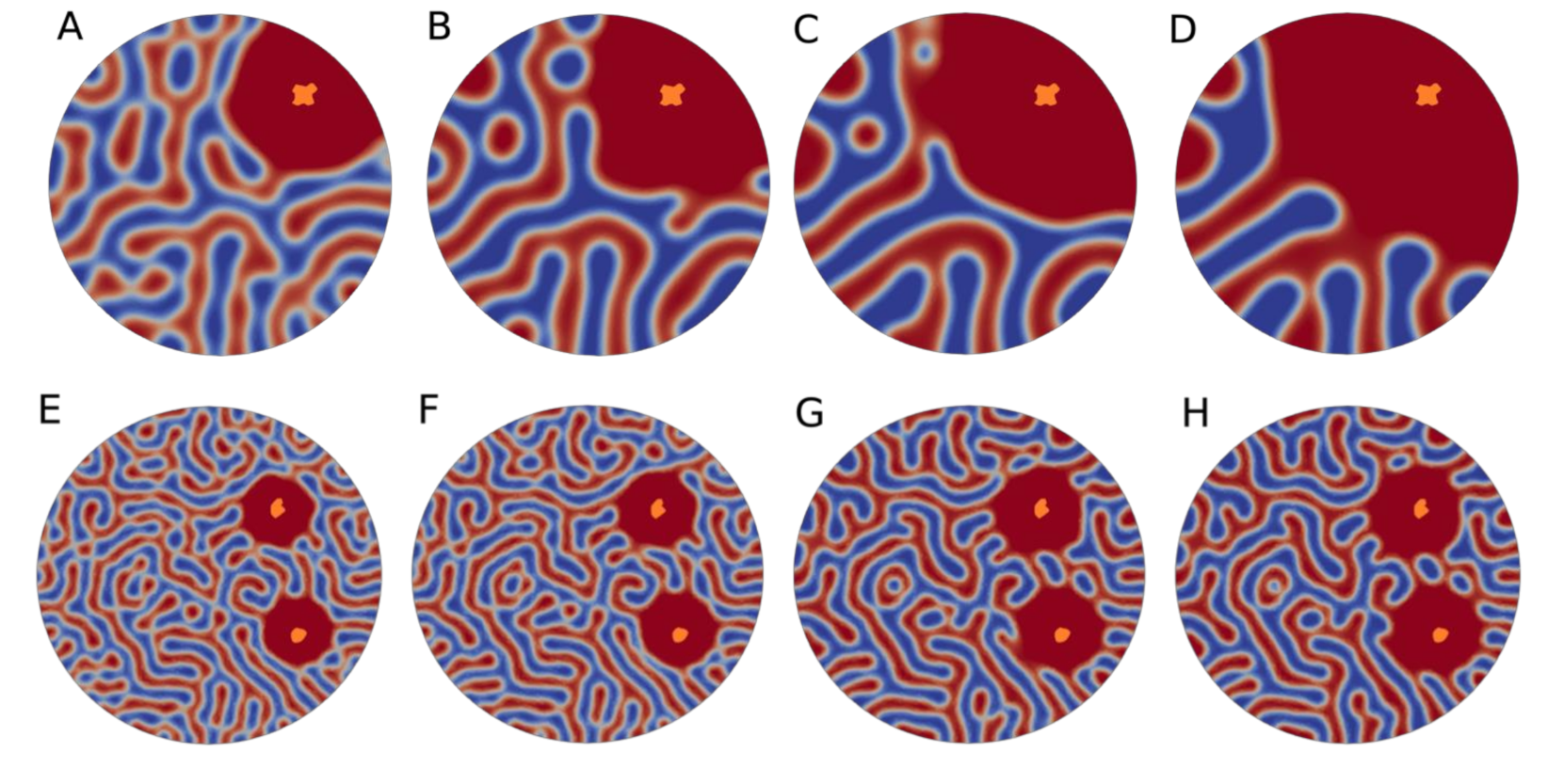 Applsci 11 02071 g006 Applsci 11 02071 g006