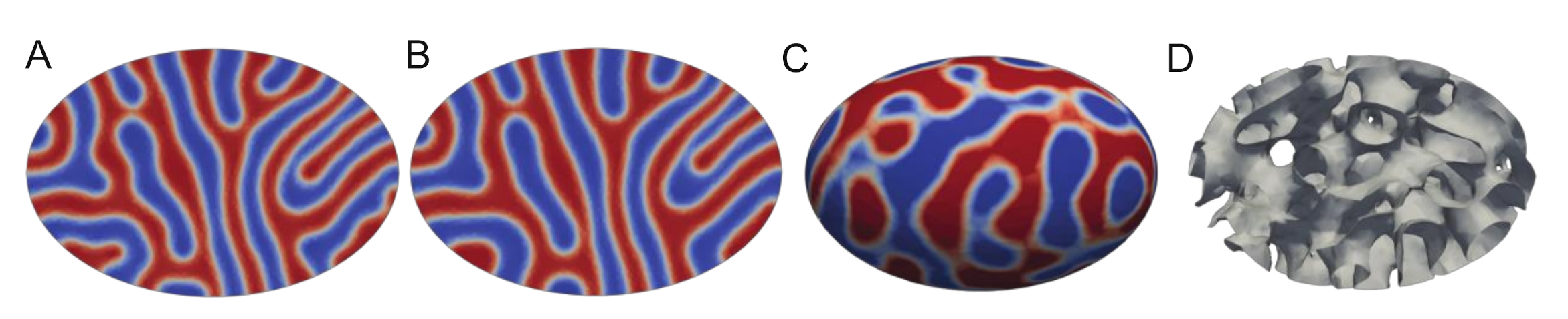 Applsci 11 02071 g008 Applsci 11 02071 g008