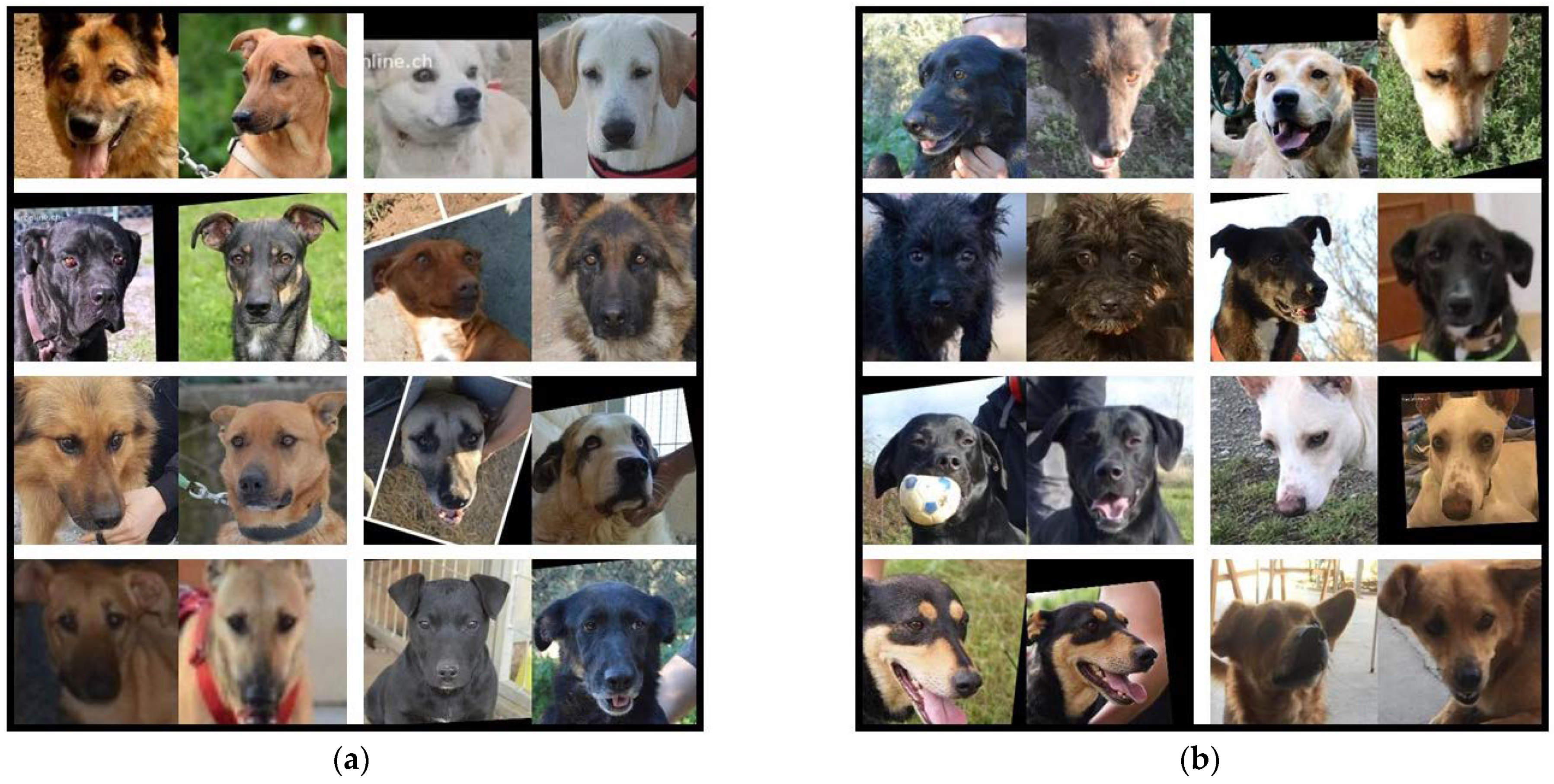 Applsci 11 02074 g011 Applsci 11 02074 g011