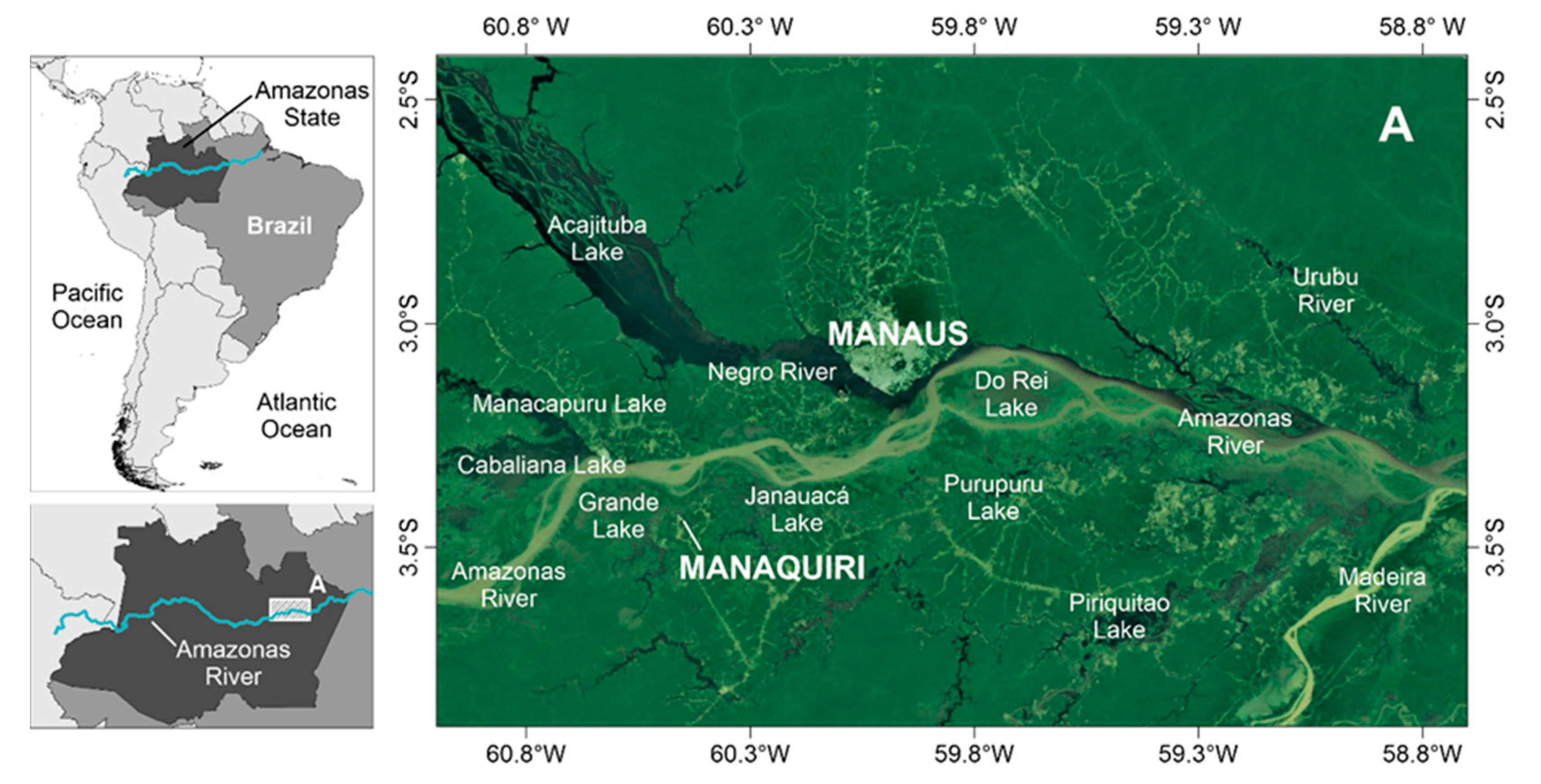 Applsci 11 02077 g003 Applsci 11 02077 g003