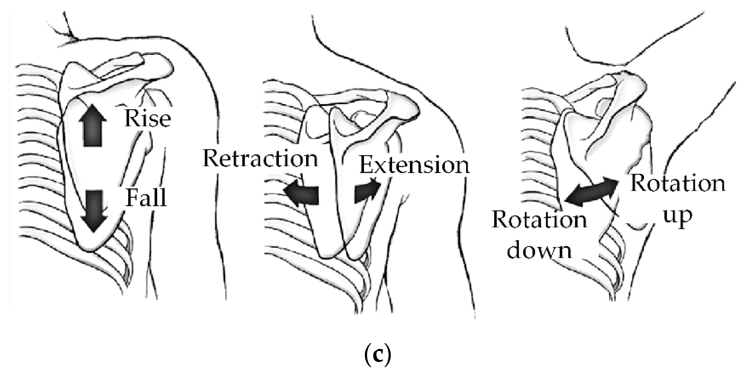 Applsci 11 02080 g002b