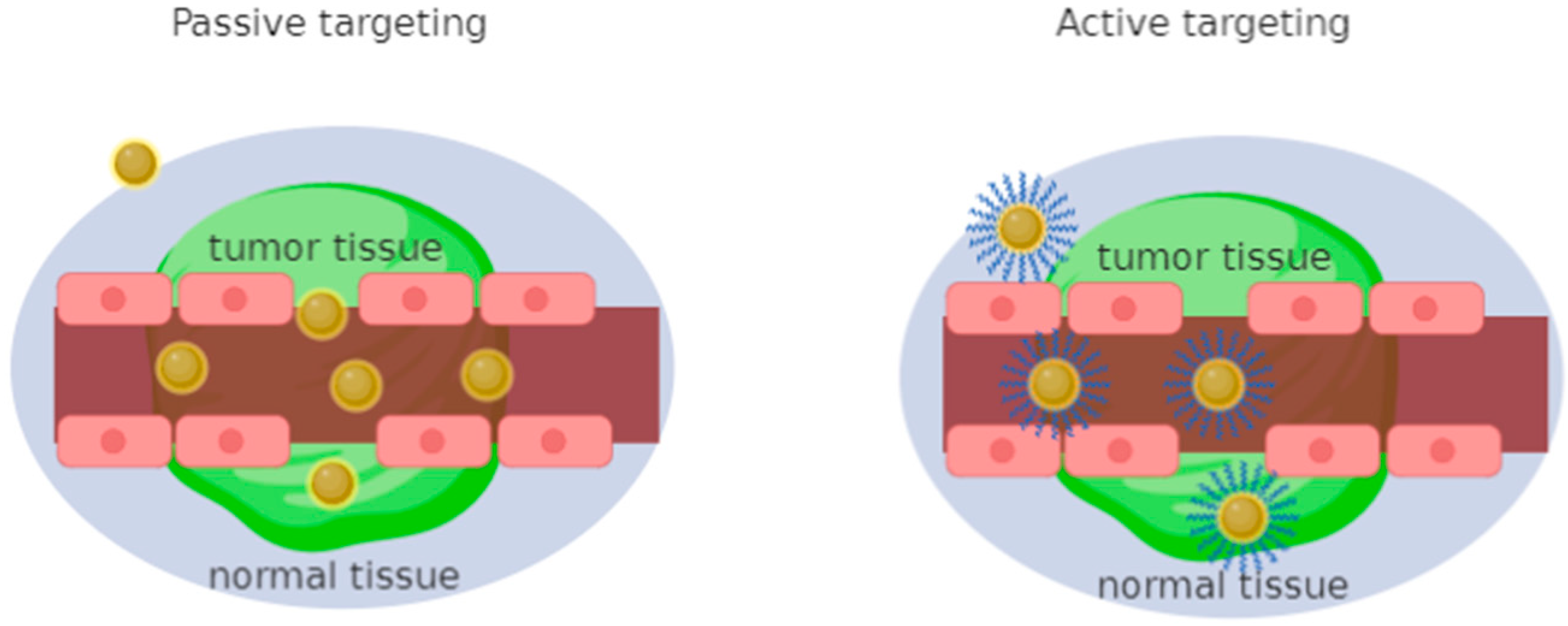 Applsci 11 02089 g001 Applsci 11 02089 g001