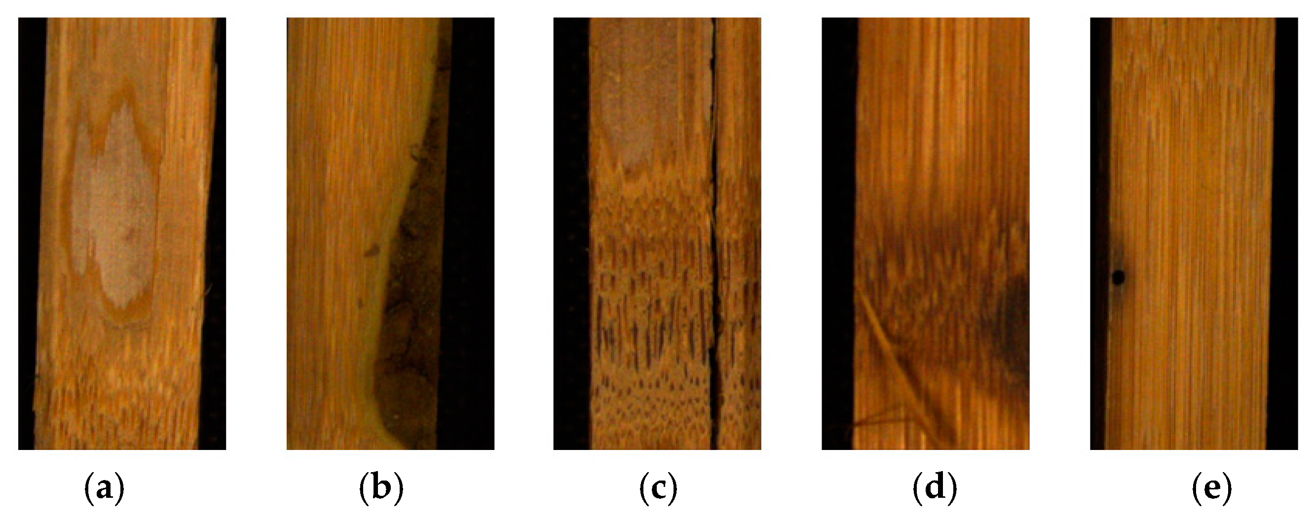 Applsci 11 02092 g006