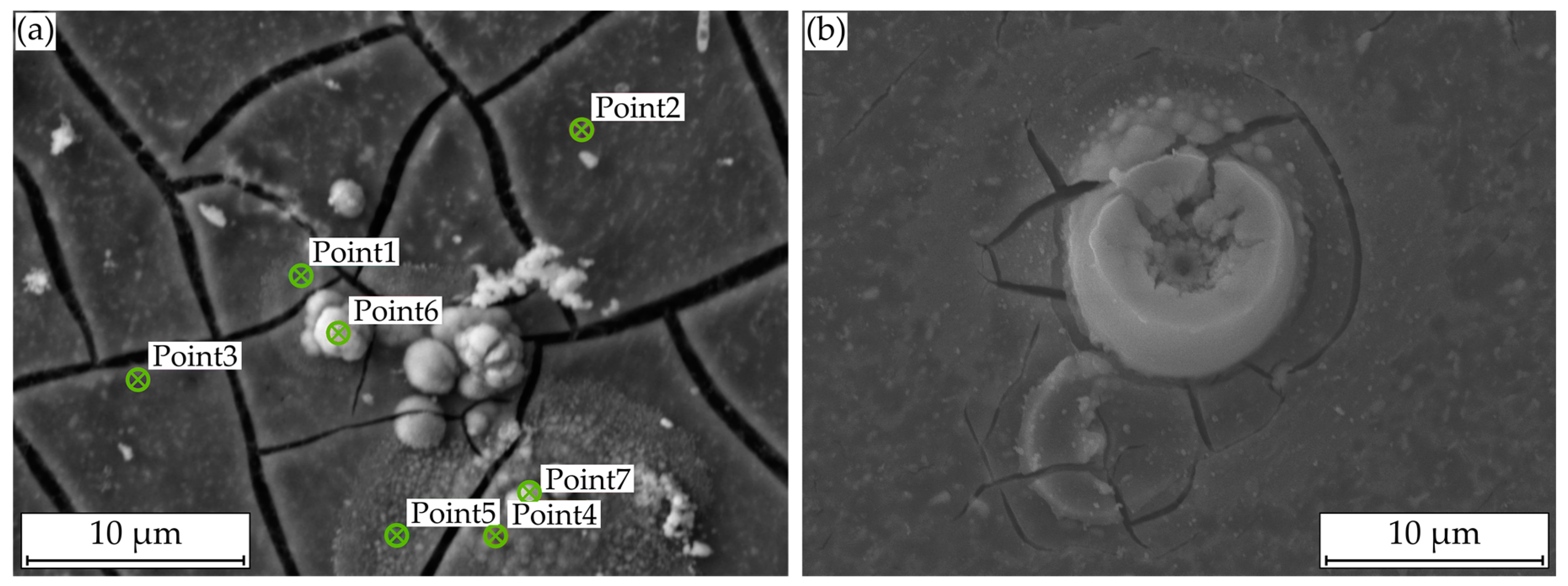 Applsci 11 02128 g008 Applsci 11 02128 g008