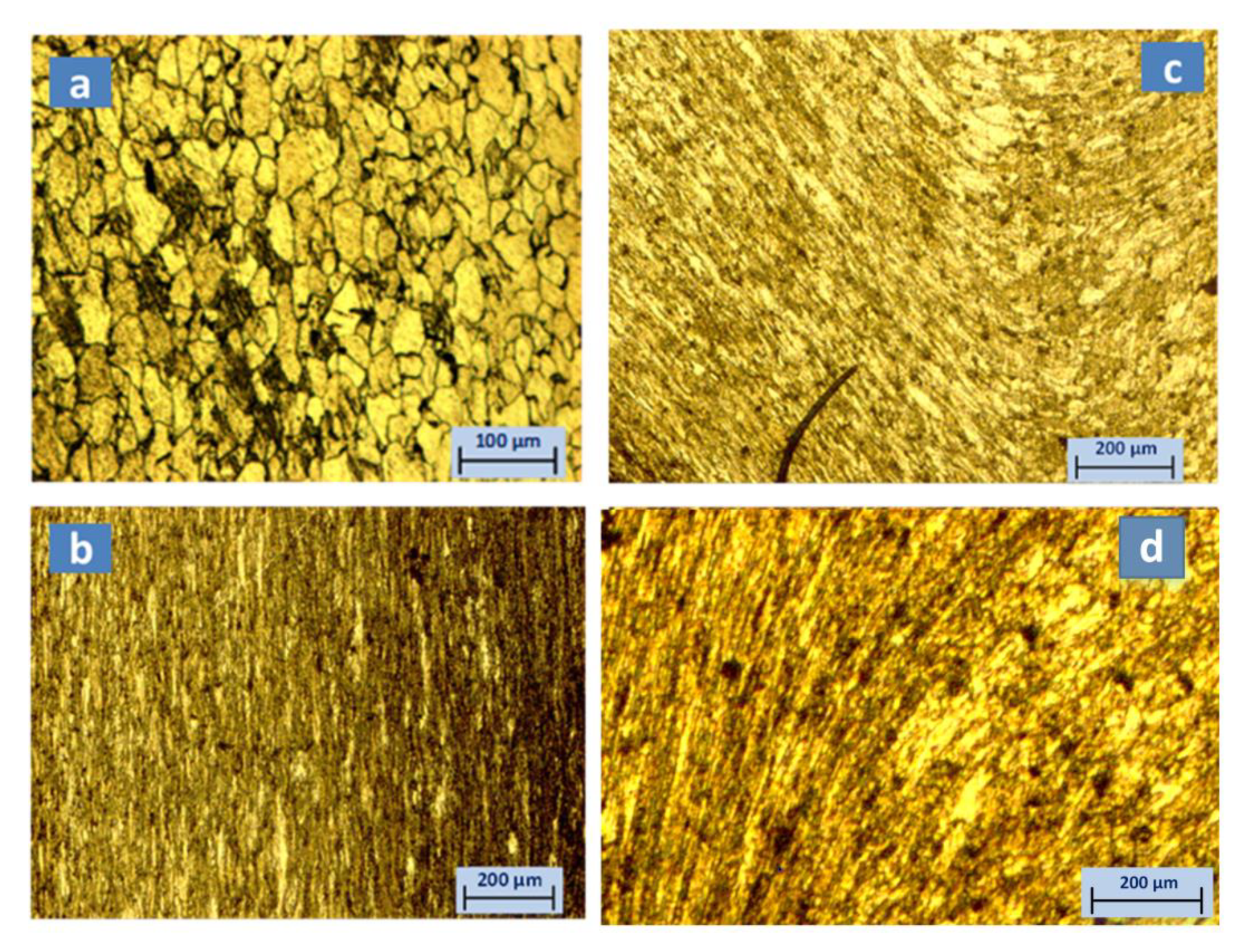 Applsci 11 02142 g011 Applsci 11 02142 g011