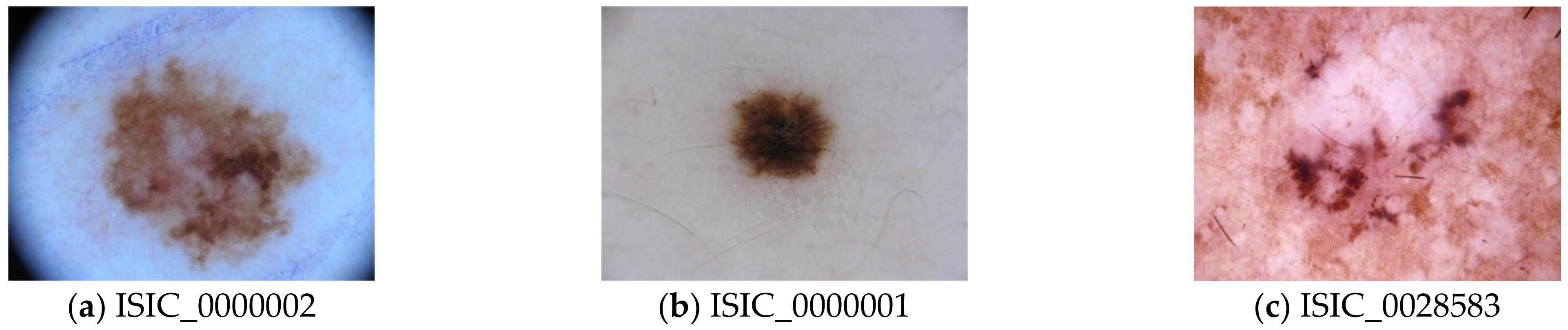 Applsci 11 02145 g007