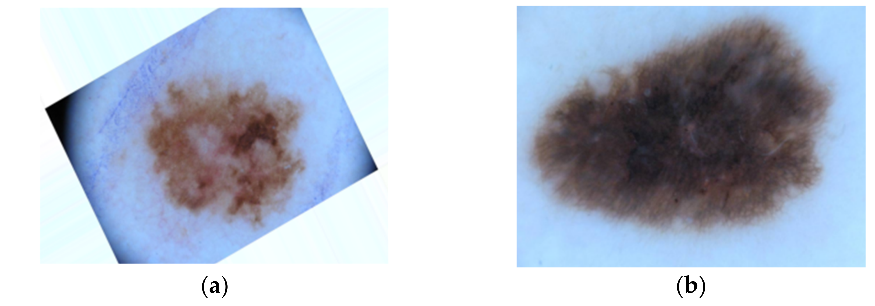 Applsci 11 02145 g009