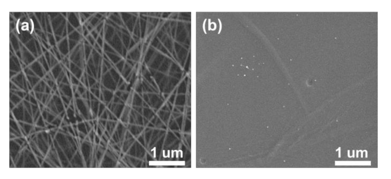 Applsci 11 02162 g002 Applsci 11 02162 g002