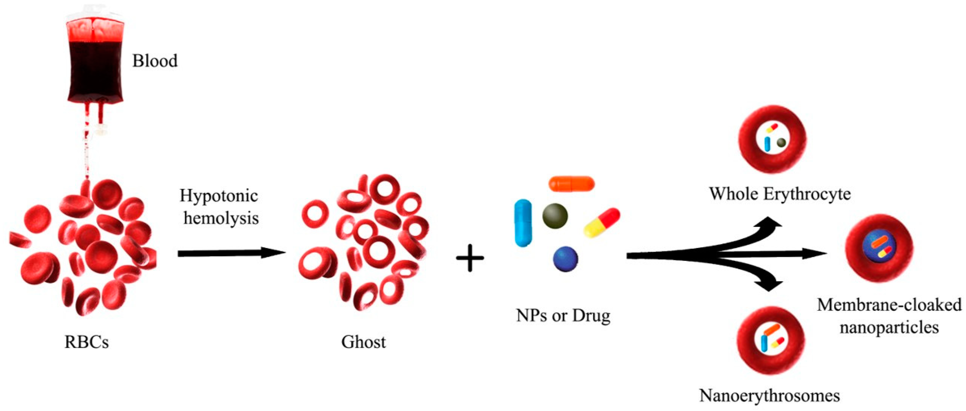 Applsci 11 02173 g001