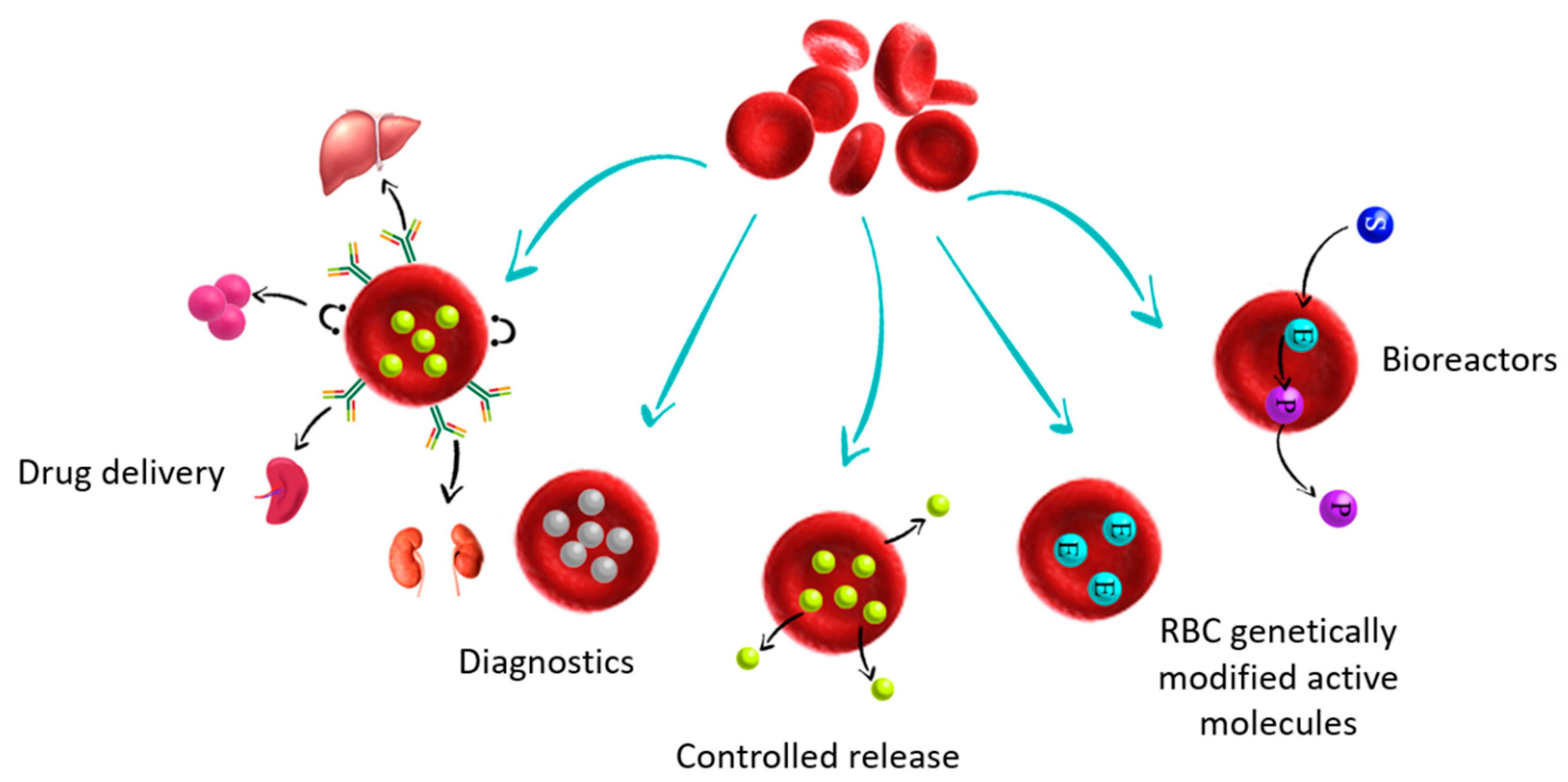 Applsci 11 02173 g005
