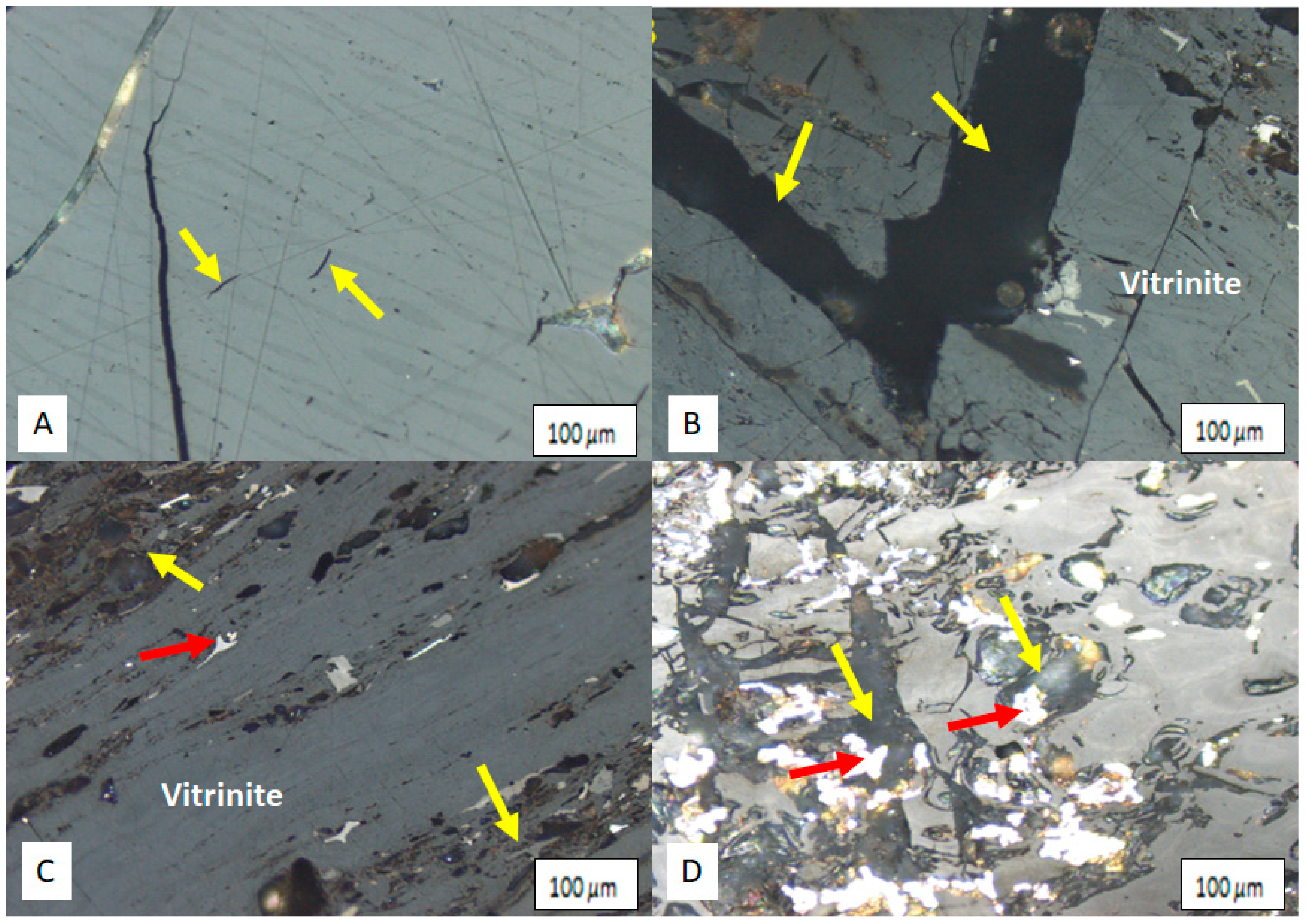 Applsci 11 02179 g005