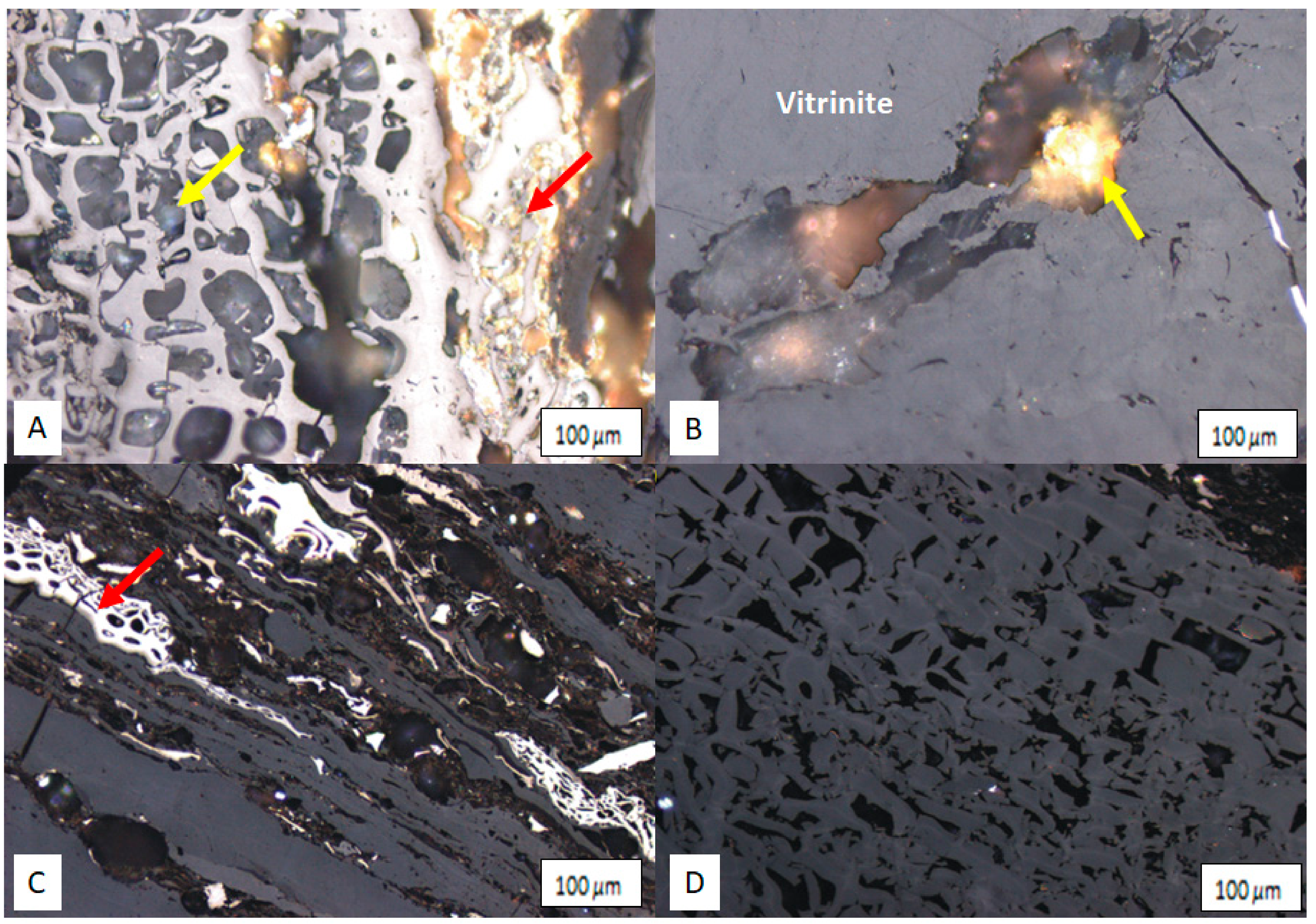 Applsci 11 02179 g008