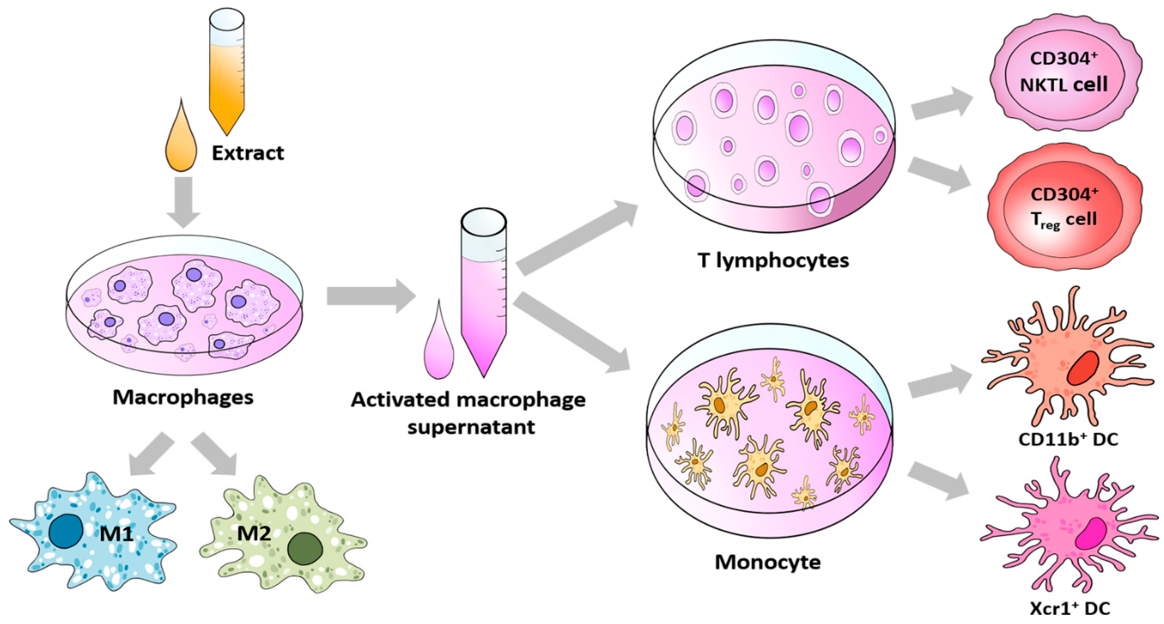 Applsci 11 02206 g001