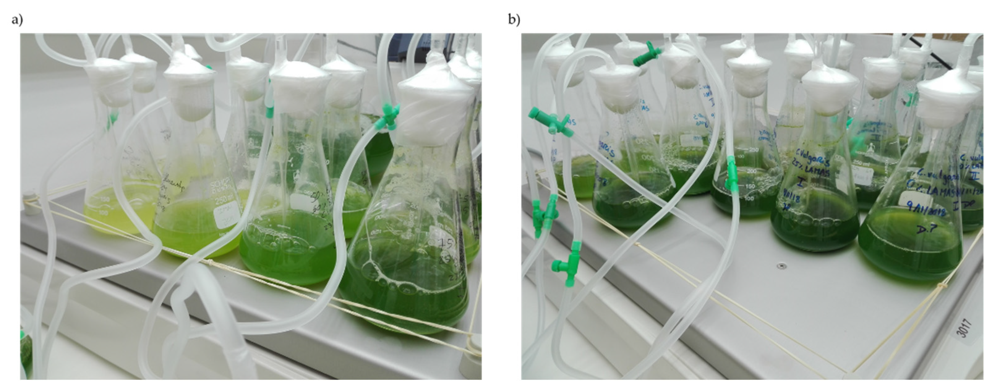 Applsci 11 02207 g001 Applsci 11 02207 g001