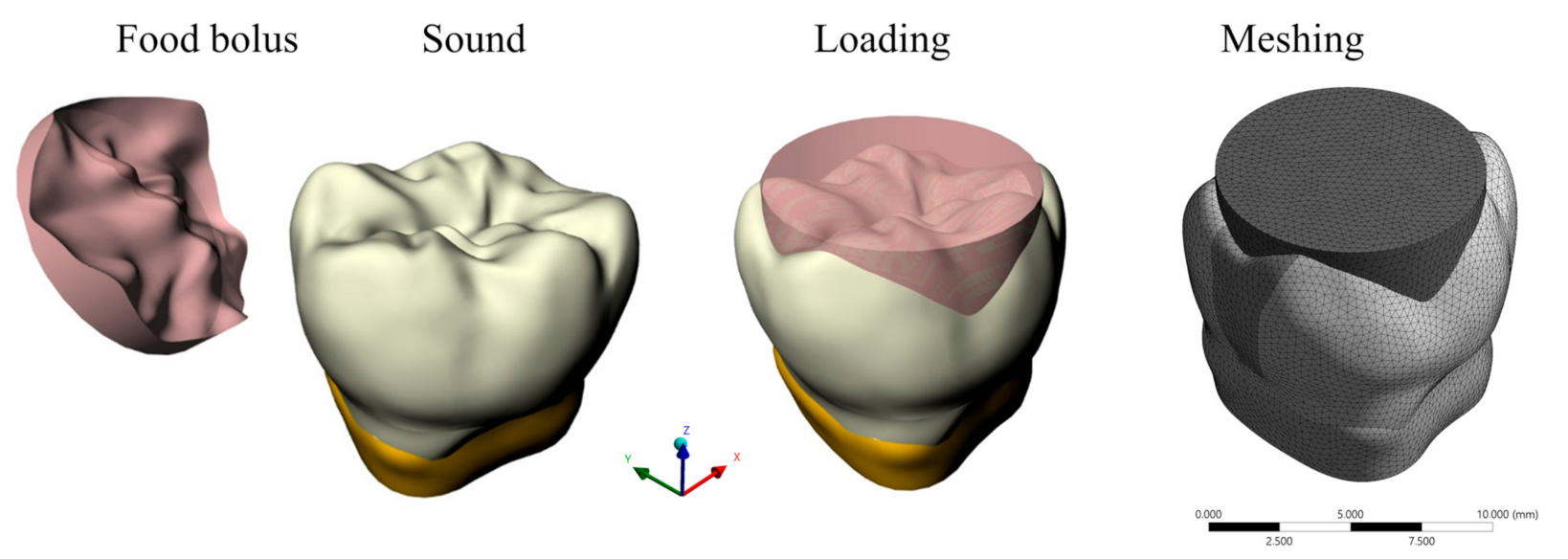 Applsci 11 02215 g002 Applsci 11 02215 g002