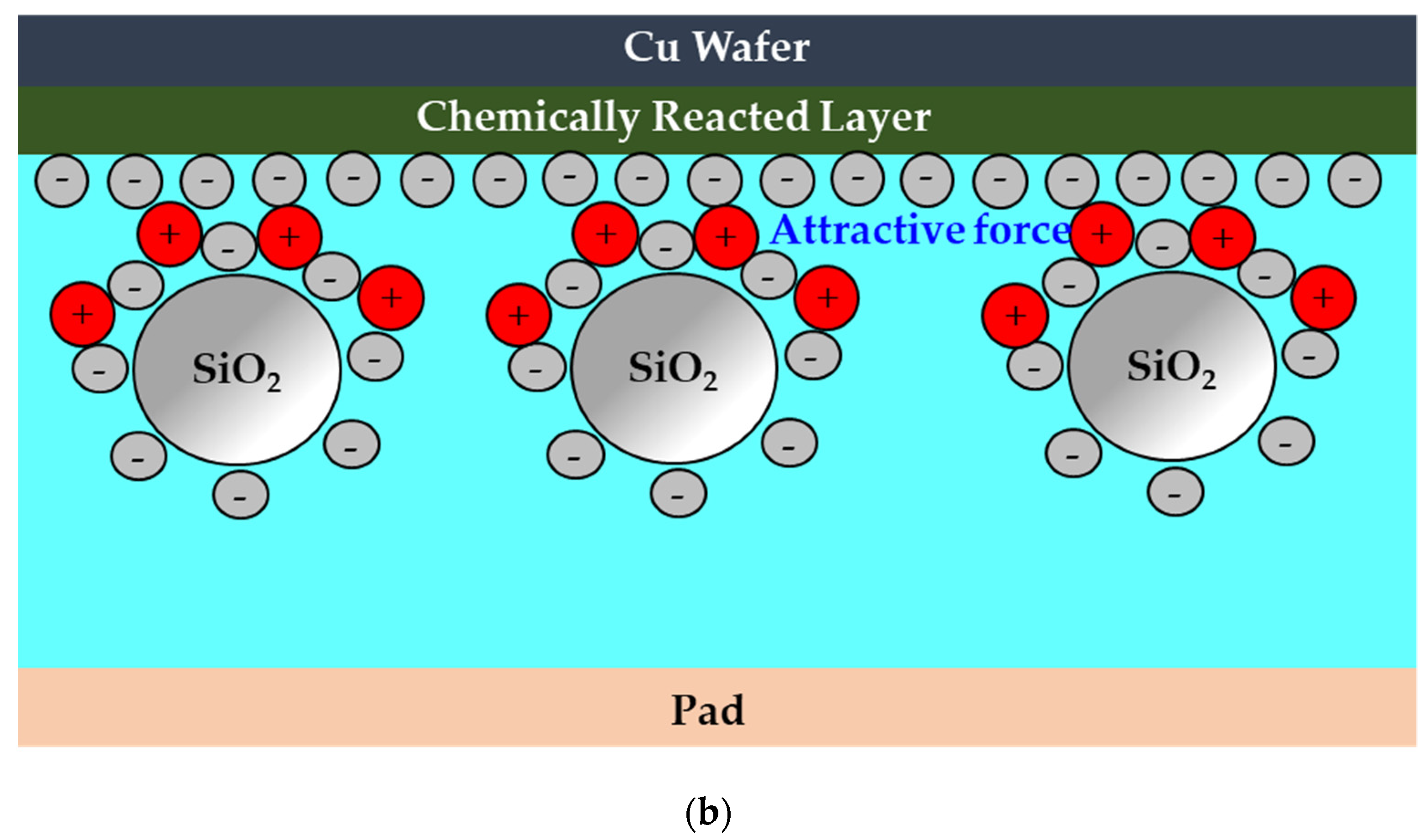 Applsci 11 02217 g012b Applsci 11 02217 g012b