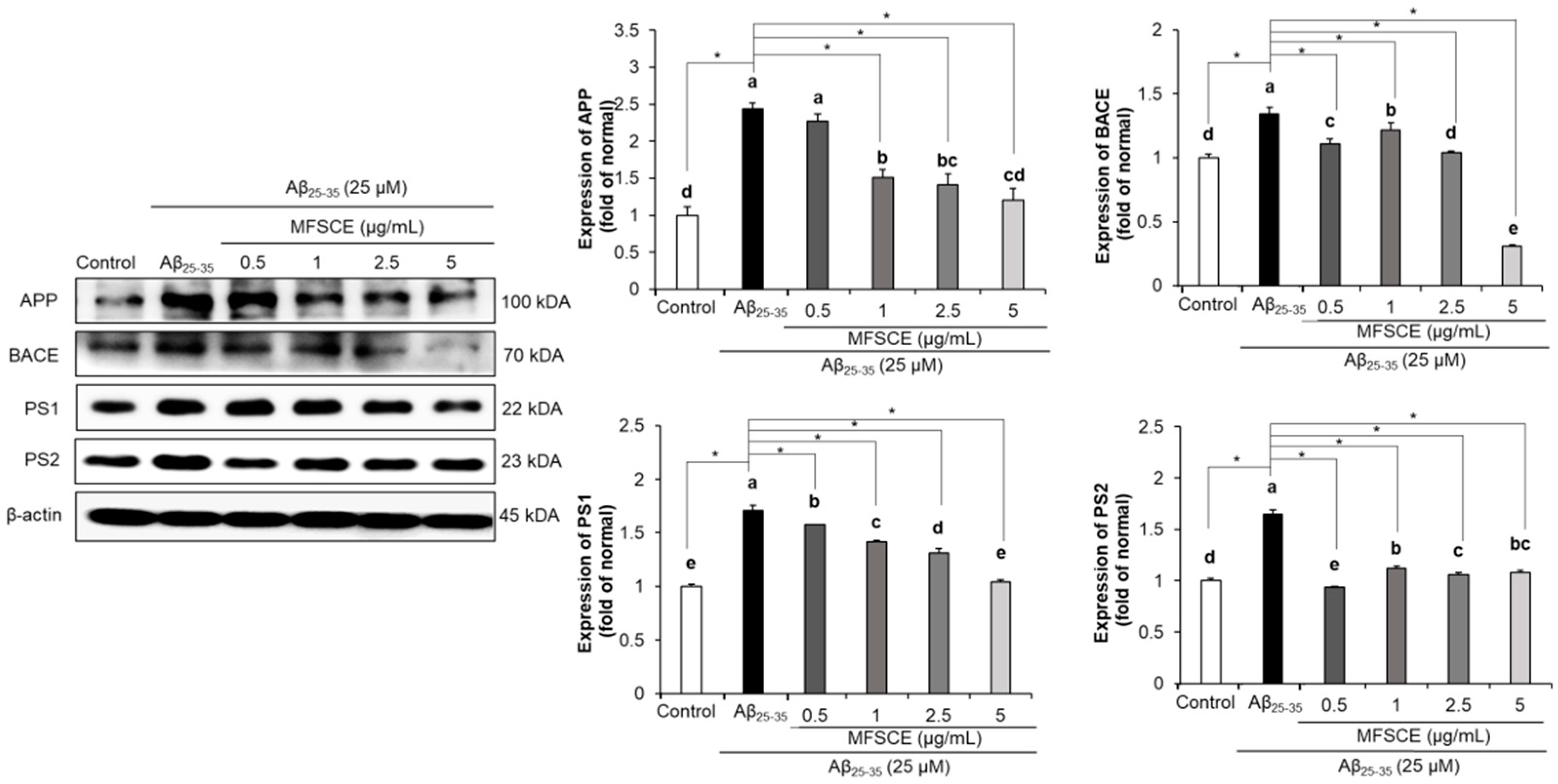 Applsci 11 02219 g006