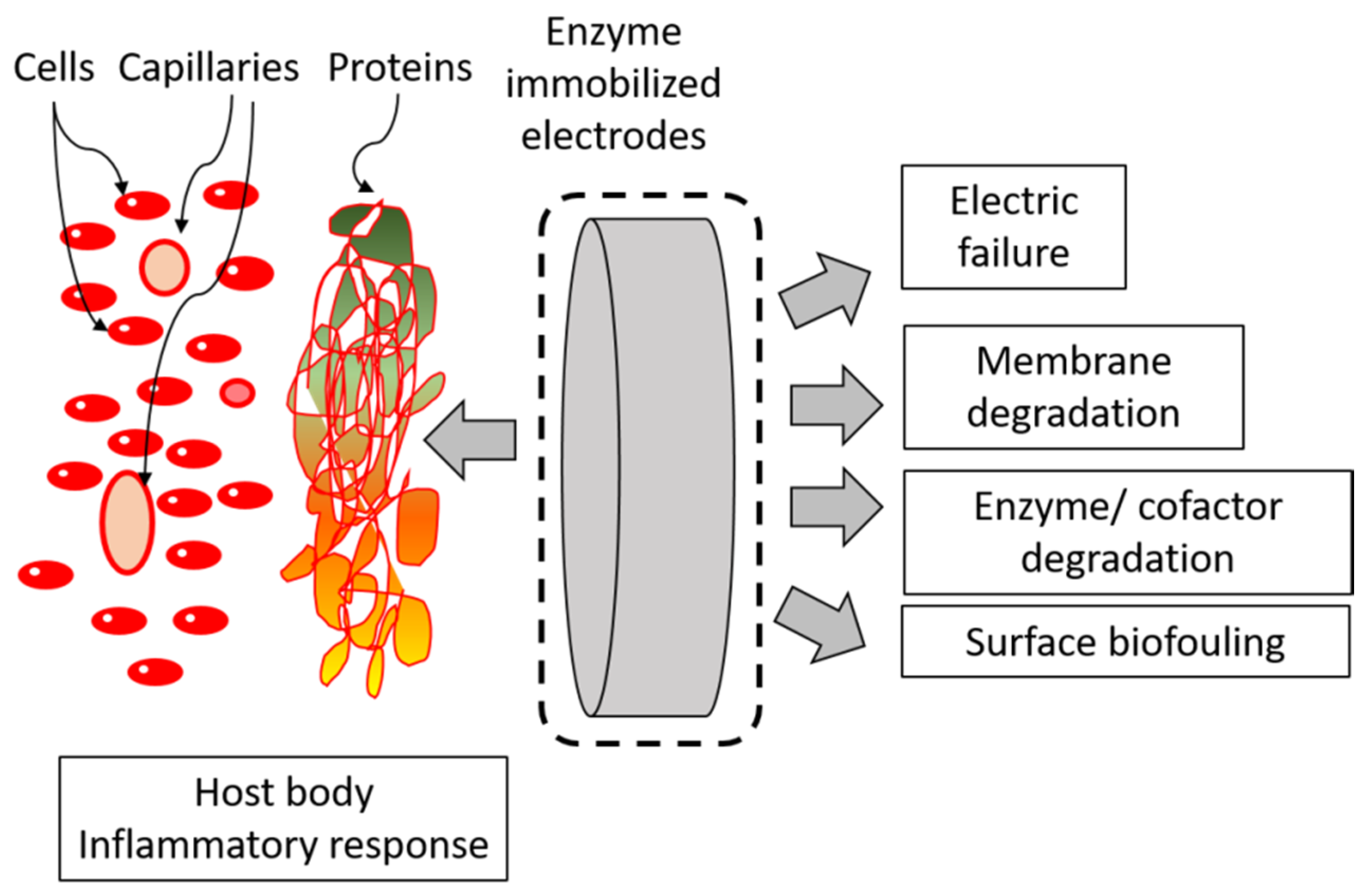 Applsci 11 02220 g012 Applsci 11 02220 g012