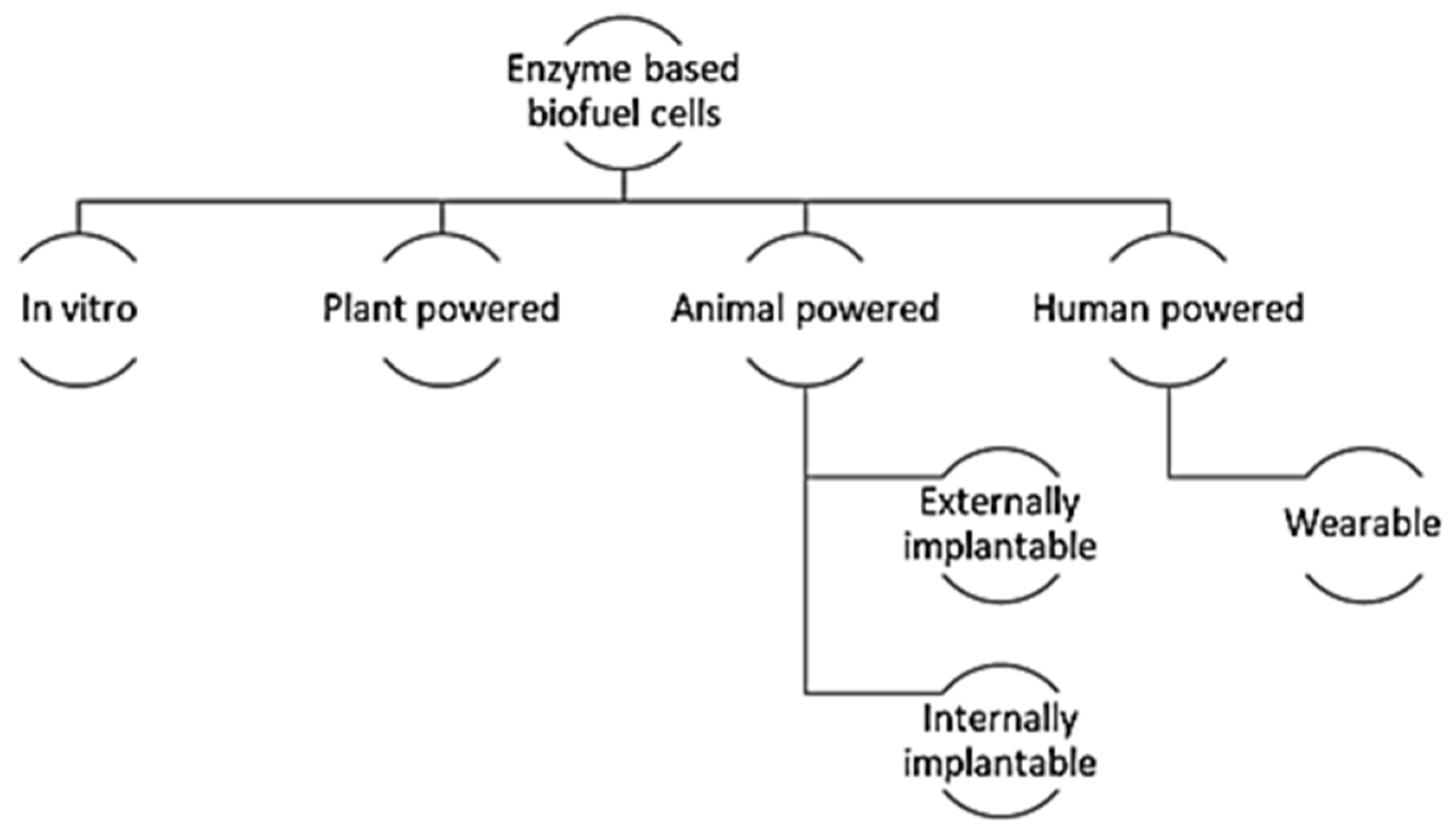 Applsci 11 02220 g013 Applsci 11 02220 g013