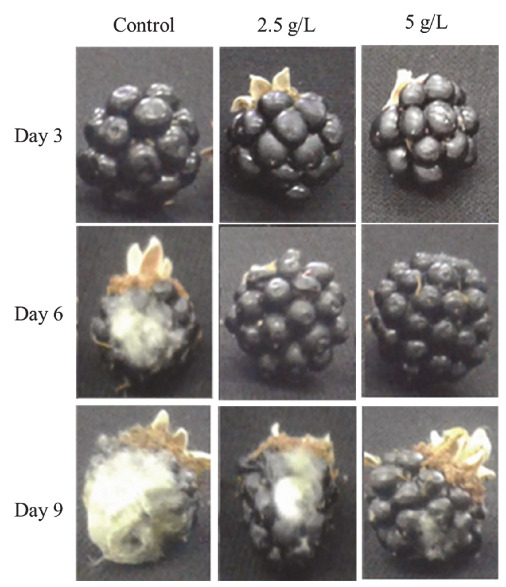 Applsci 11 02224 g001